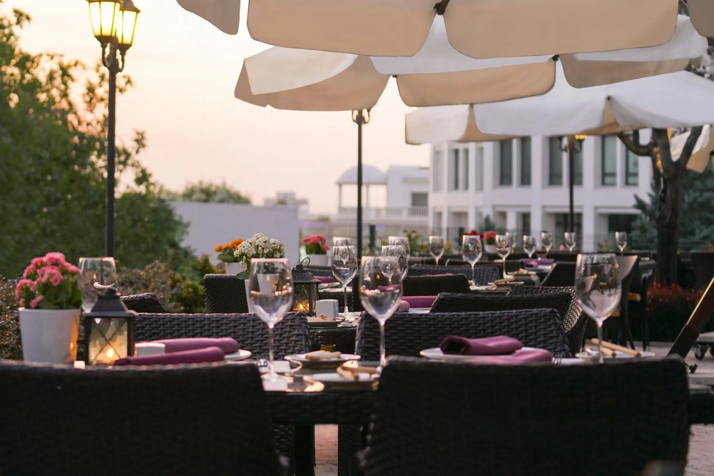 Restaurant/places to eat in Sheraton Ankara Hotel & Convention Center