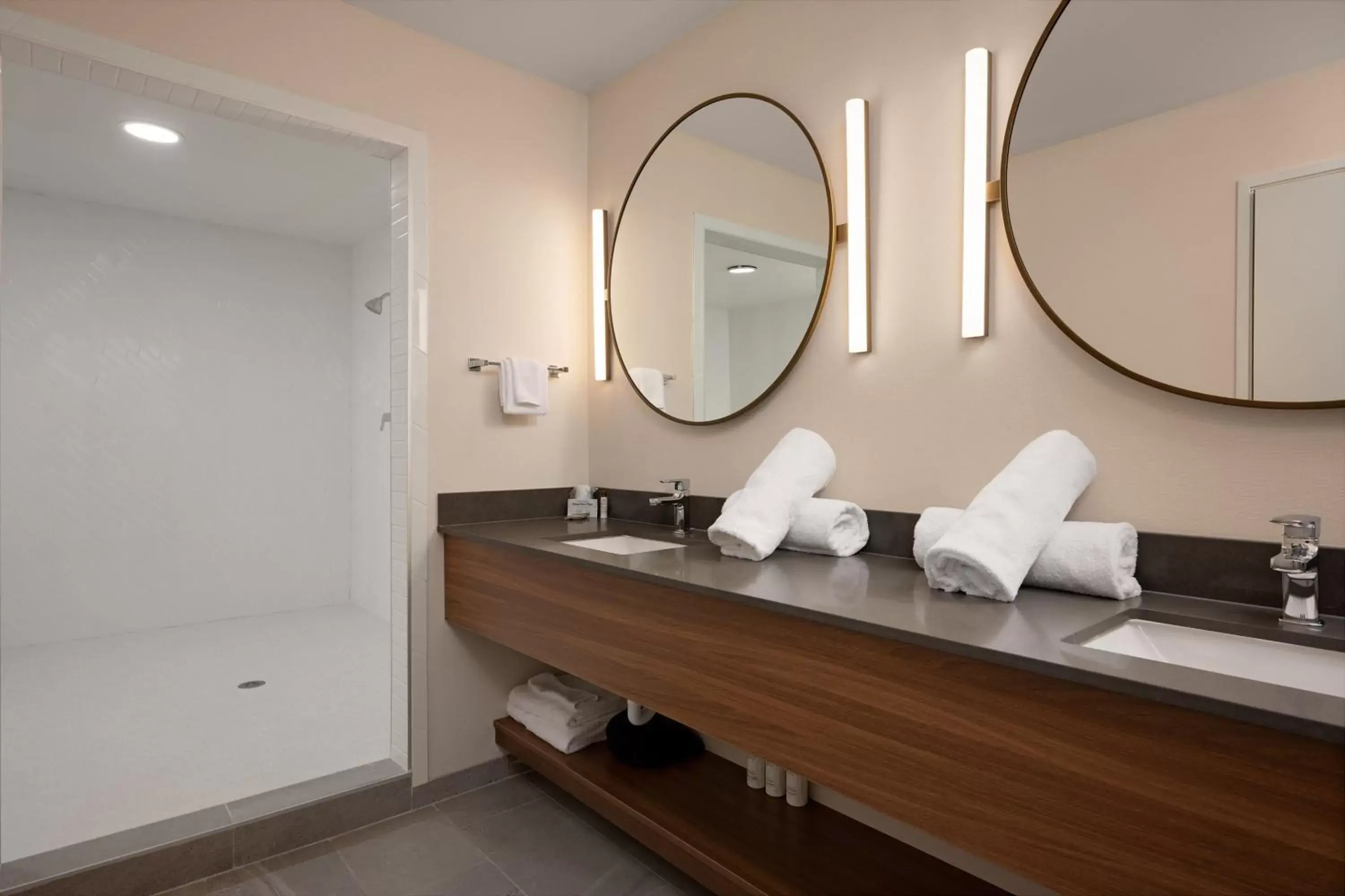 Bathroom in Fairfield Inn & Suites by Marriott Missoula