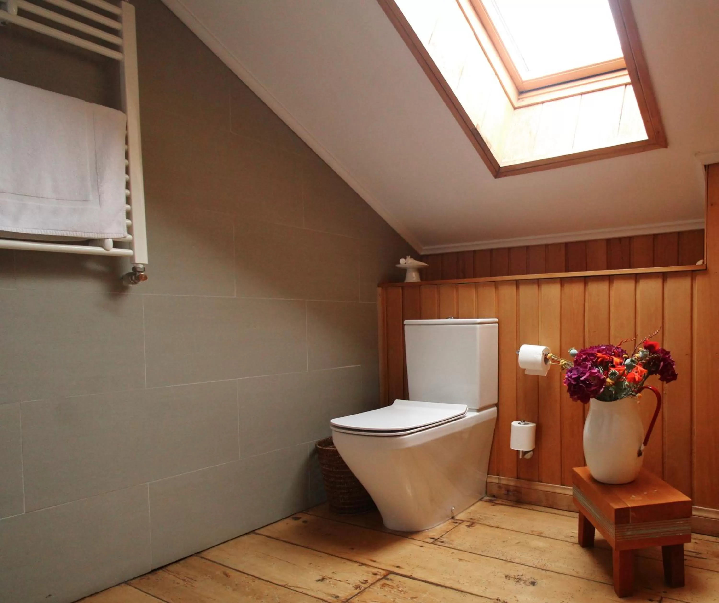 Toilet, Bathroom in Hotel Boutique Casa Werner