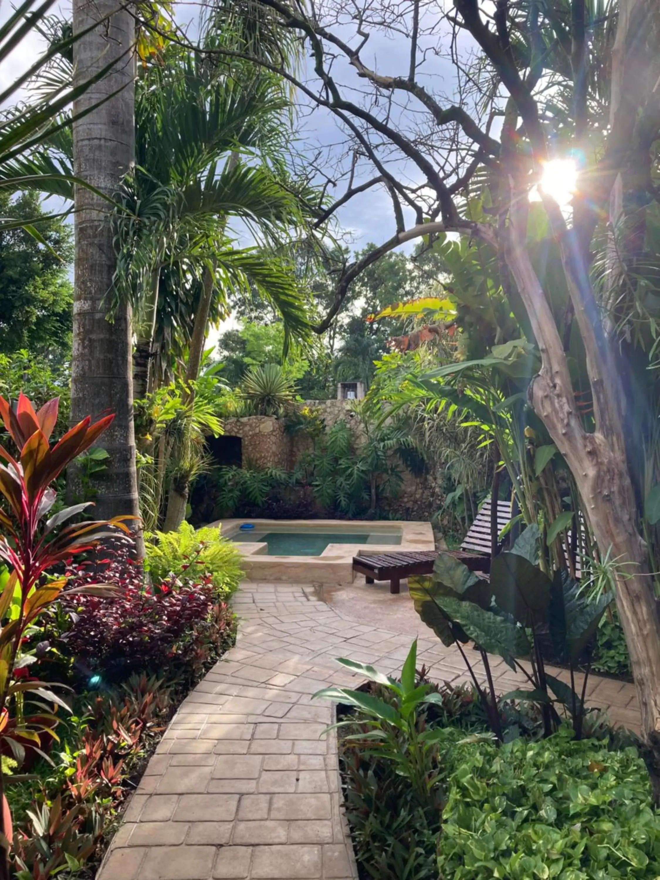 Garden, Swimming Pool in Casa Tia Micha