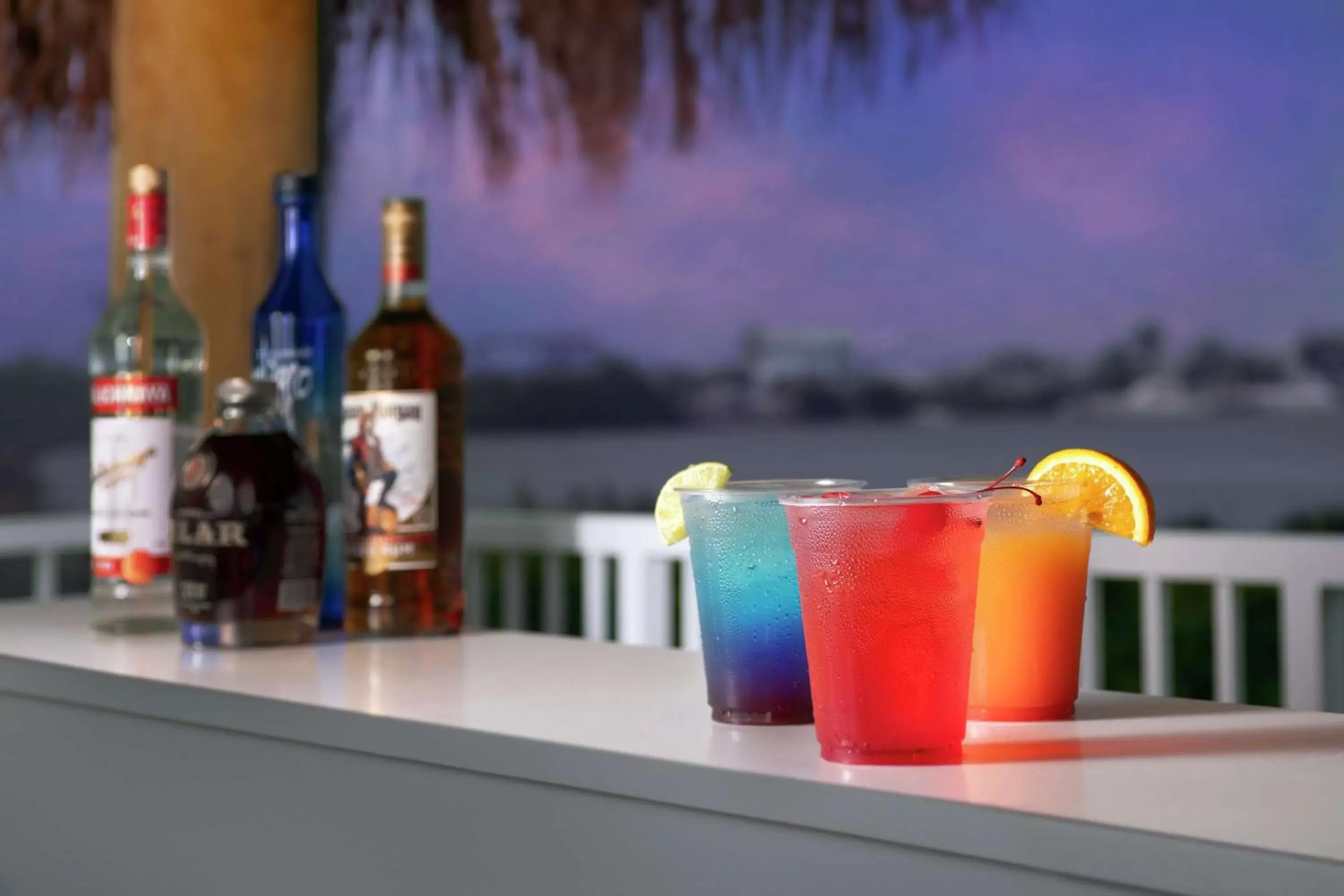Lounge or bar, Drinks in Hampton Inn Marathon - Florida Keys