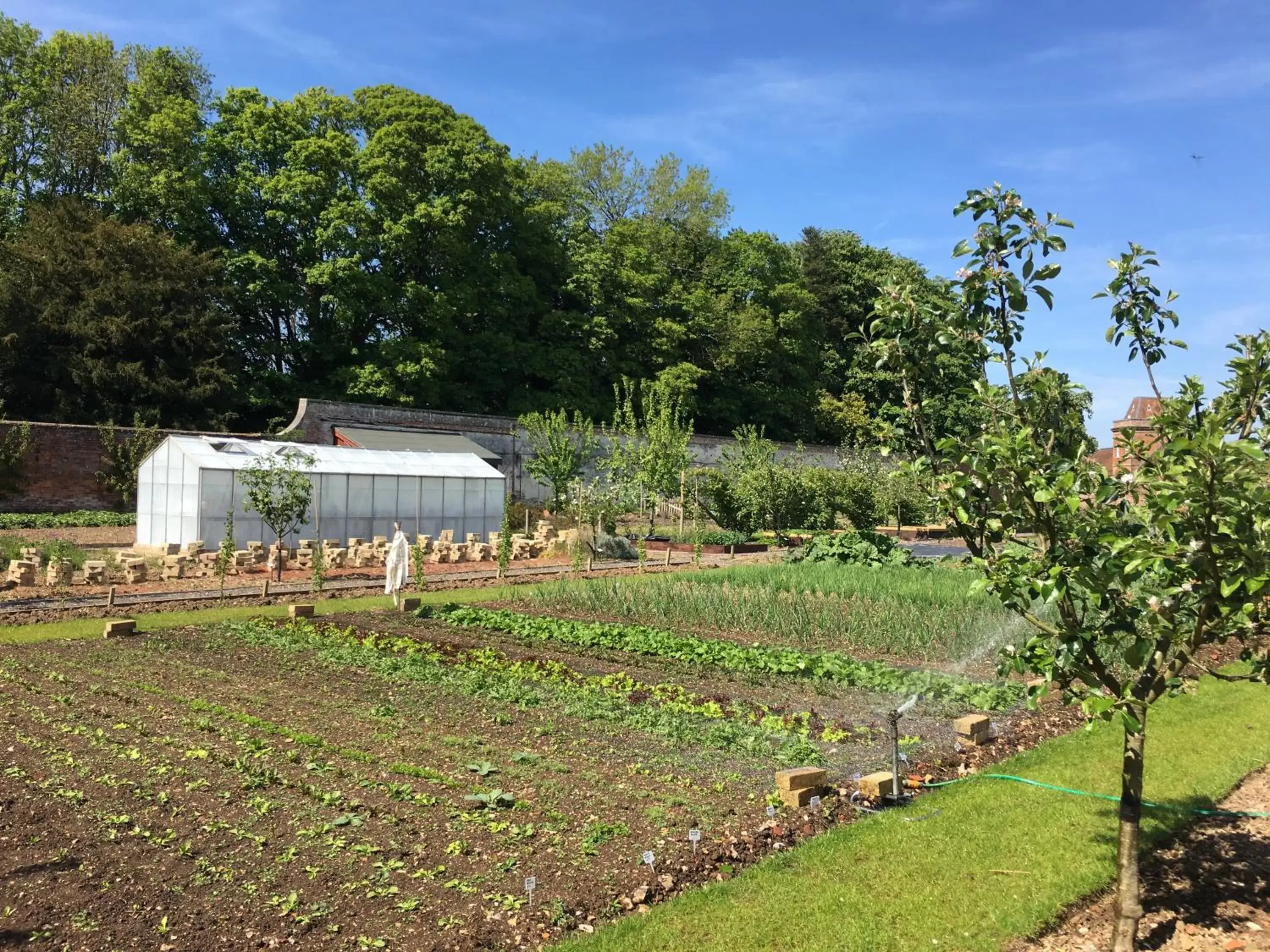 Garden in Oakley Hall Hotel