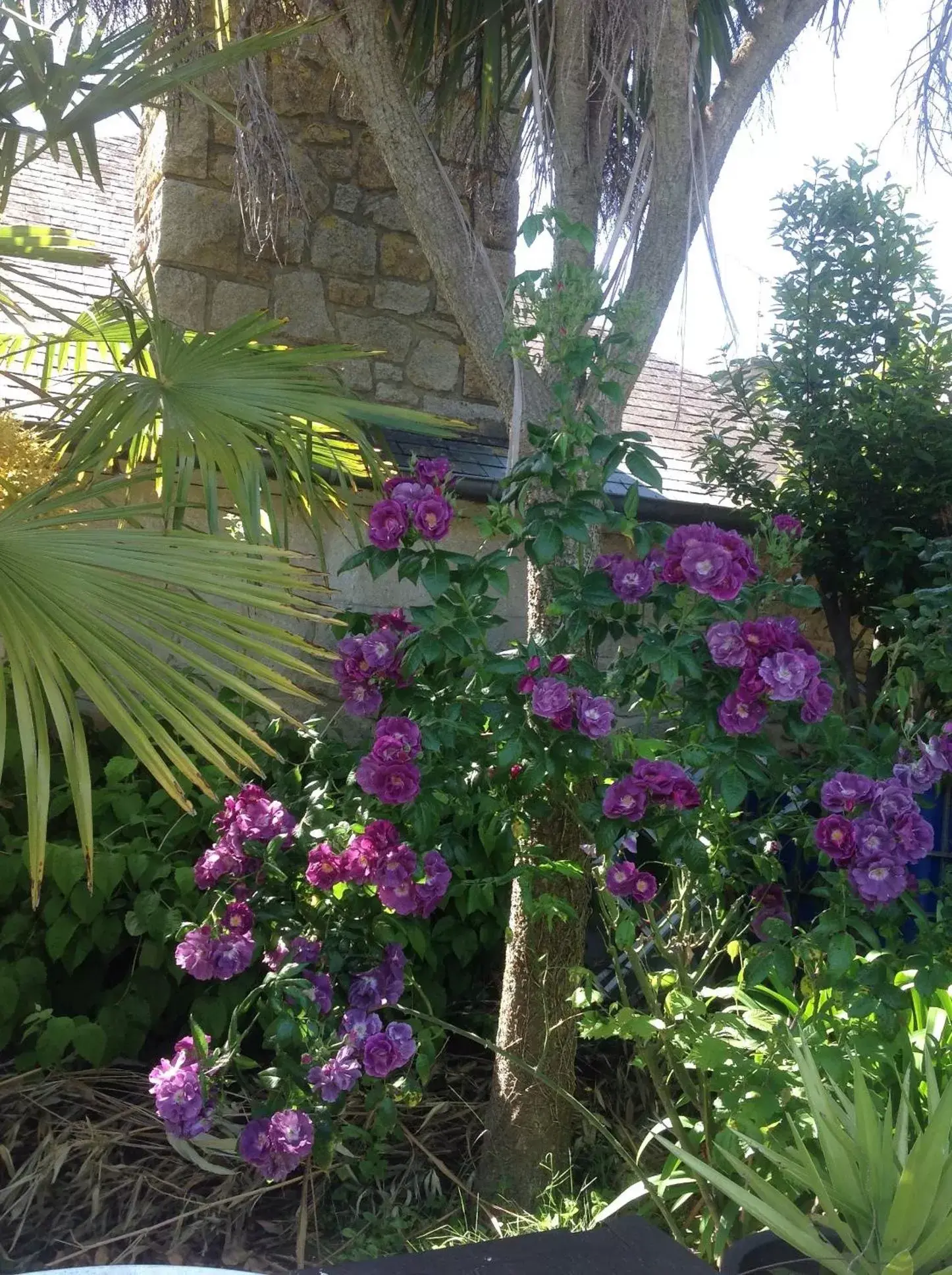 Garden view, Garden in La Demeure aux Hortensias