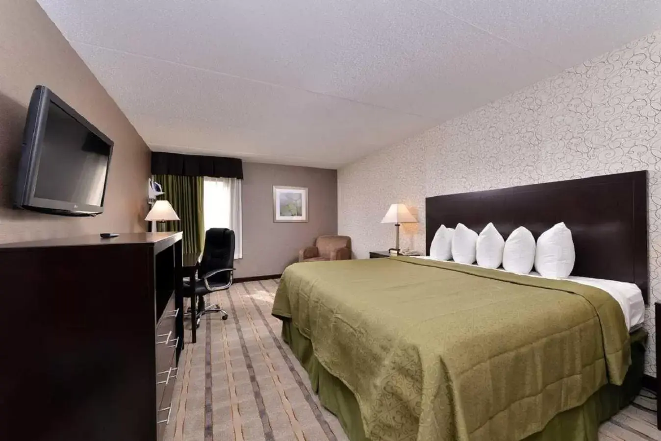 King Room in Quality Inn & Suites Matteson near I-57