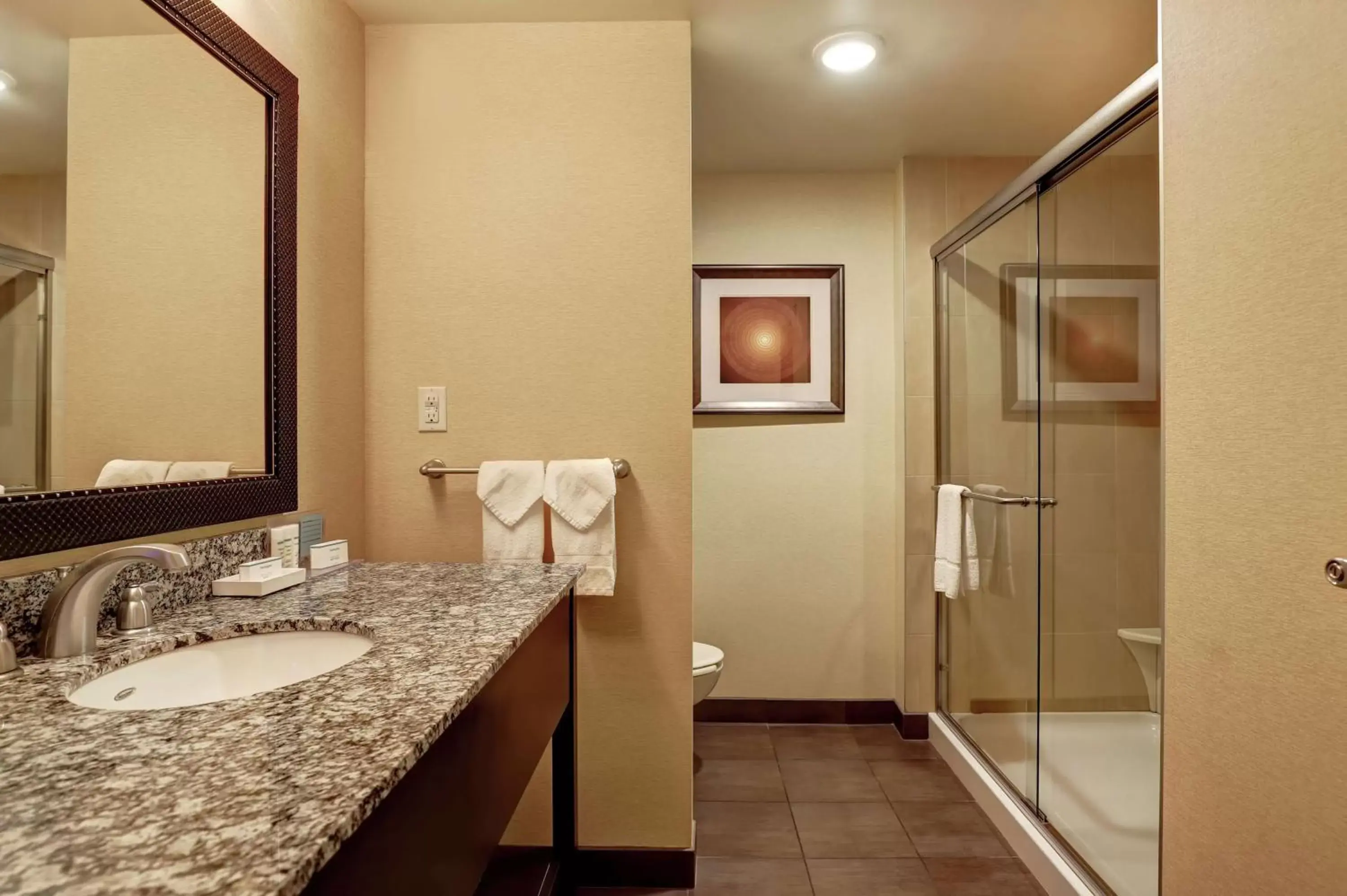 Bathroom in Hampton Inn by Hilton Chilliwack