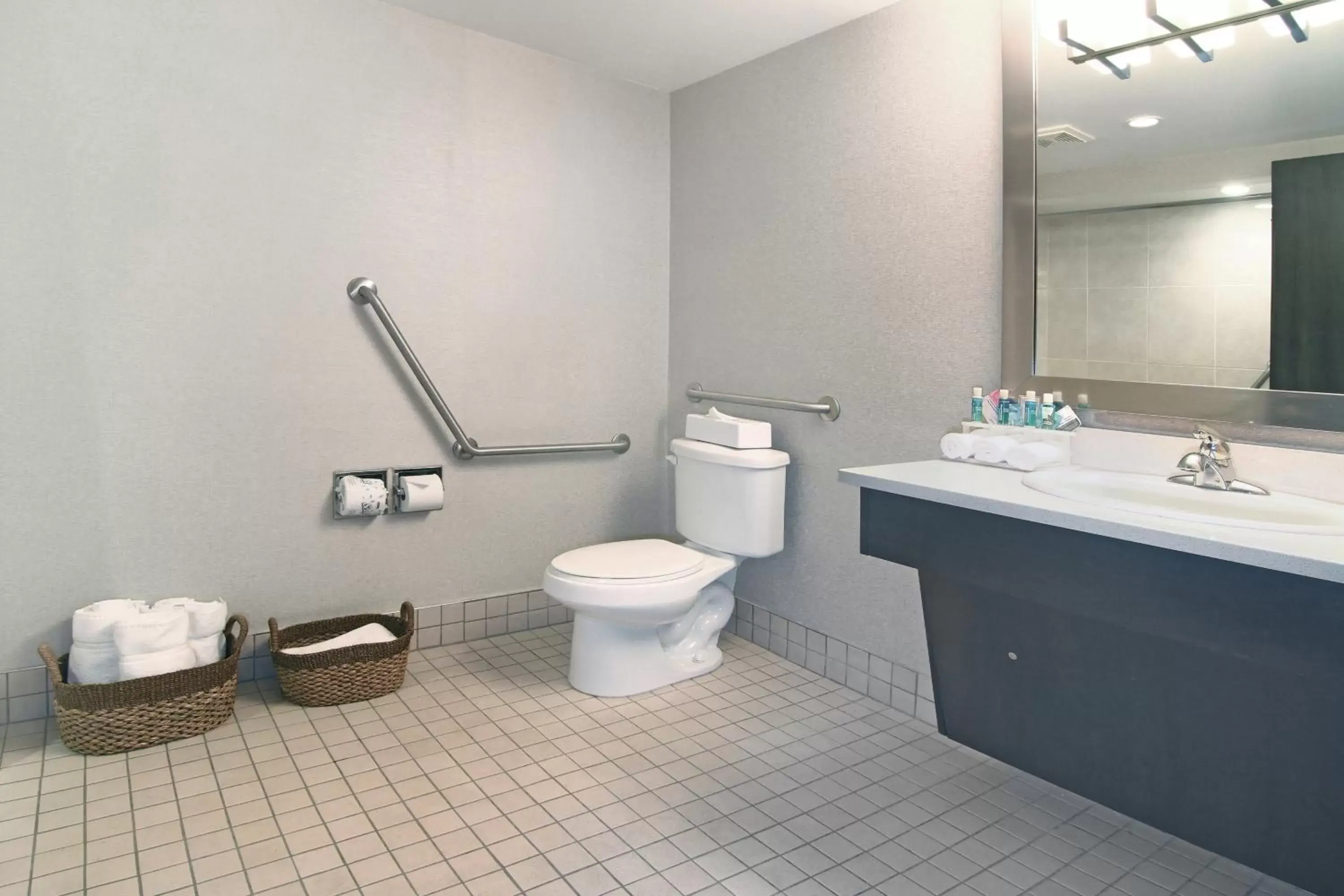 Photo of the whole room, Bathroom in Holiday Inn Express and Suites Calgary, an IHG Hotel