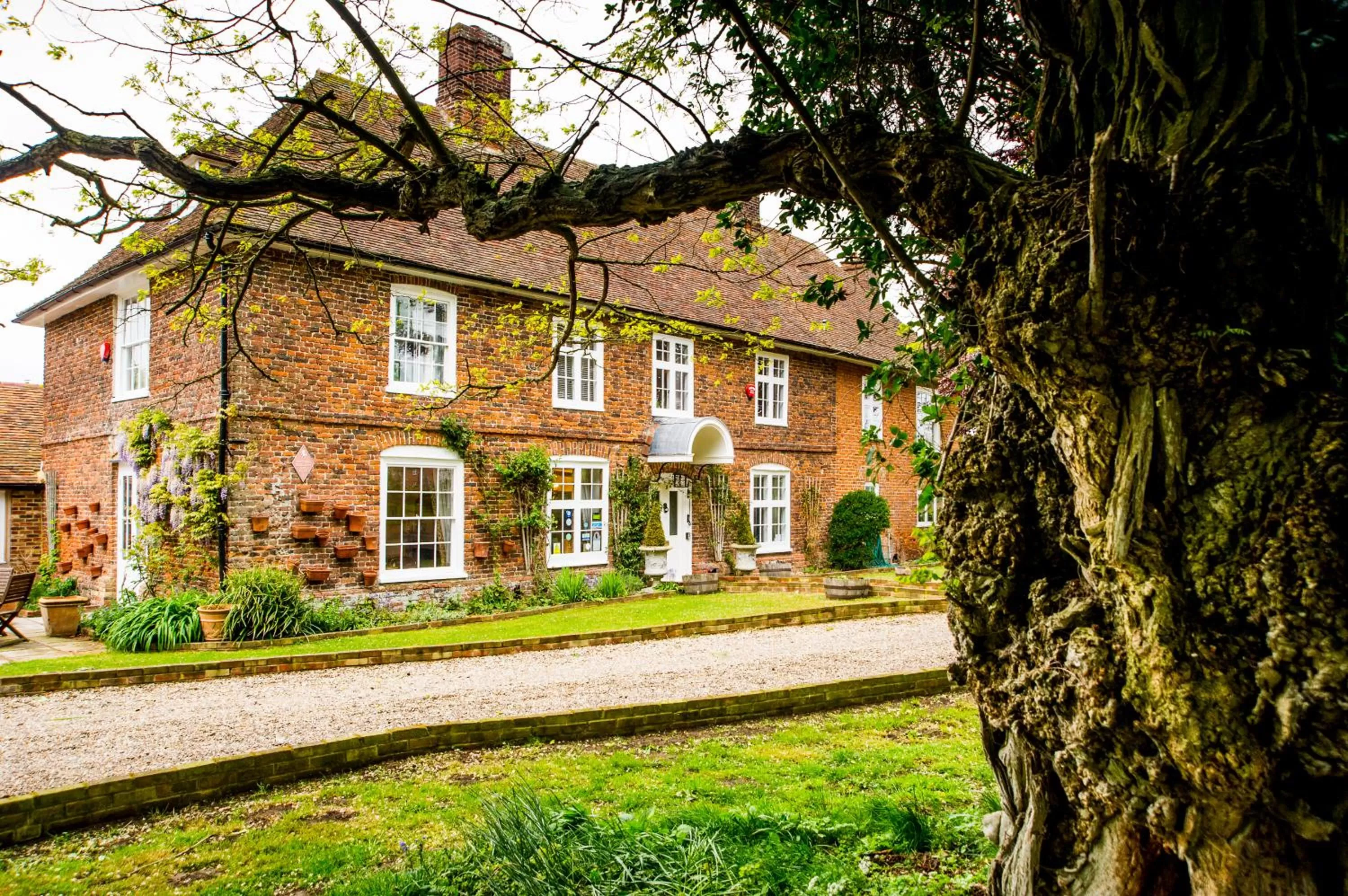 Molland Manor House Bed & Breakfast