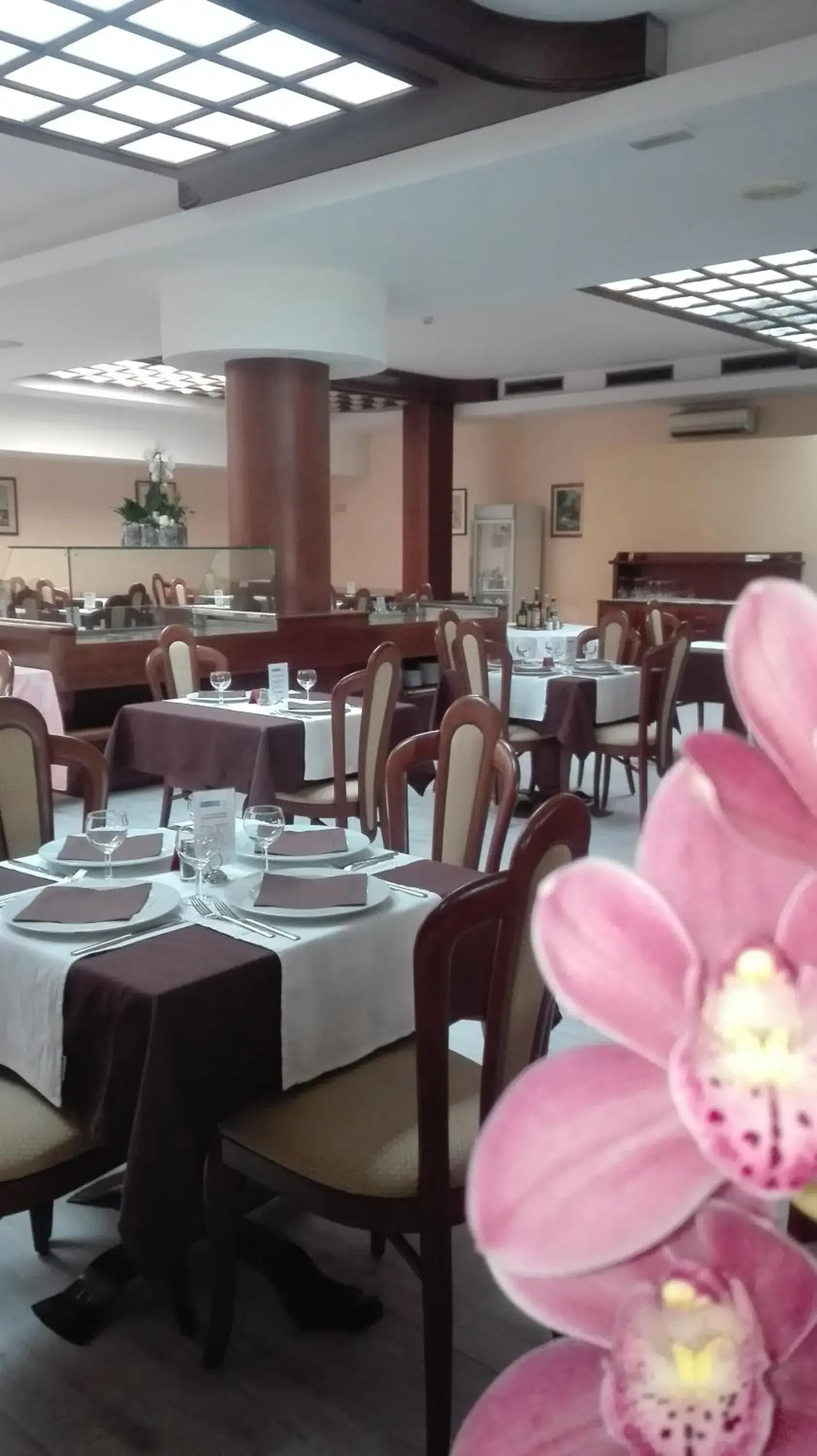 Restaurant/Places to Eat in Hotel Laura Christina