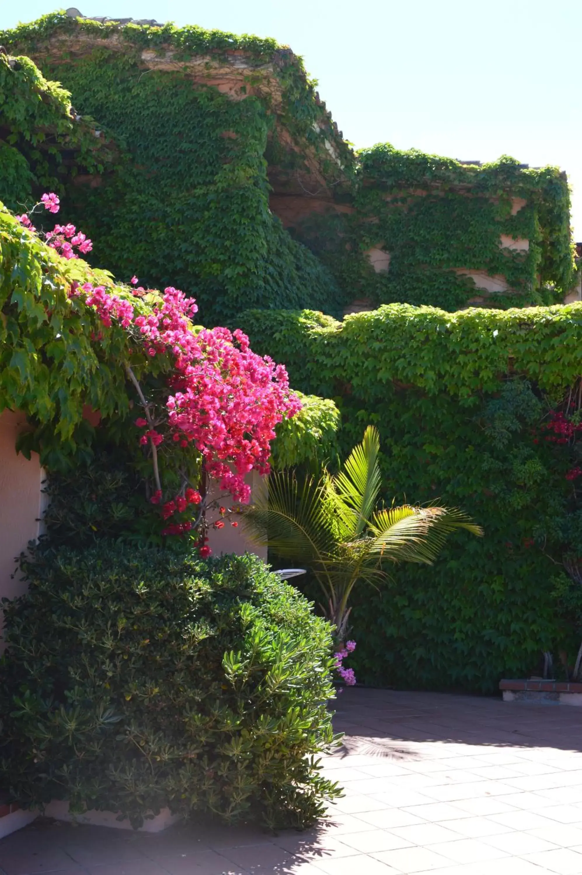 Decorative detail in Residence Fenicia