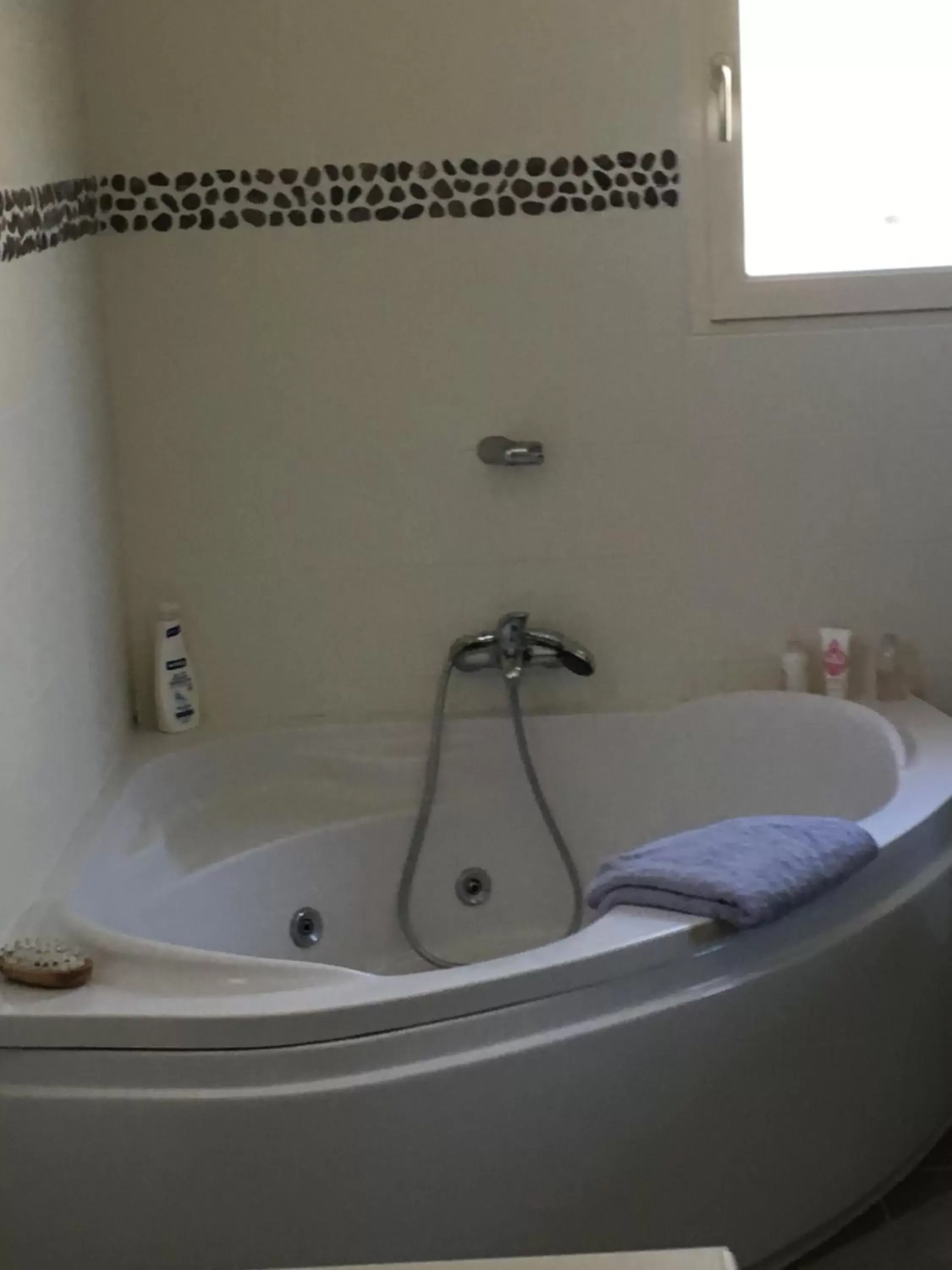 Hot Tub, Bathroom in Maison des Vignes
