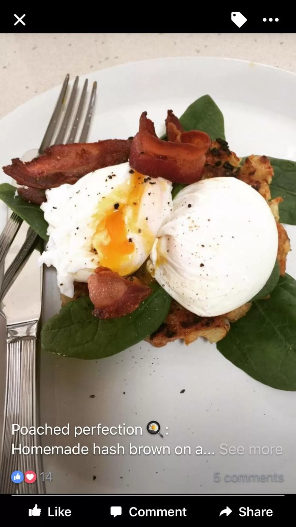 Breakfast in Lavender Manor BnB
