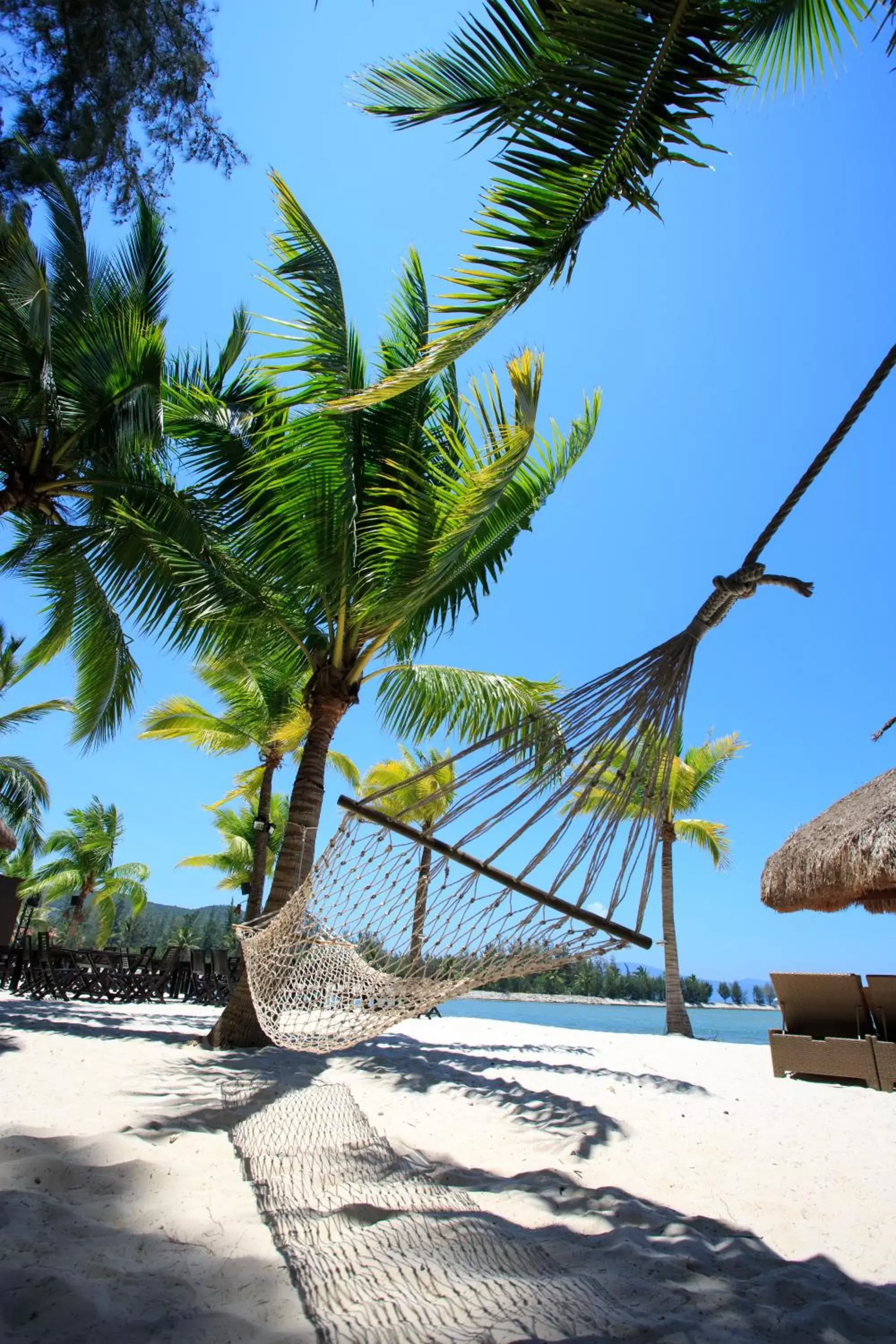 Beach in Diamond Bay Resort & Spa