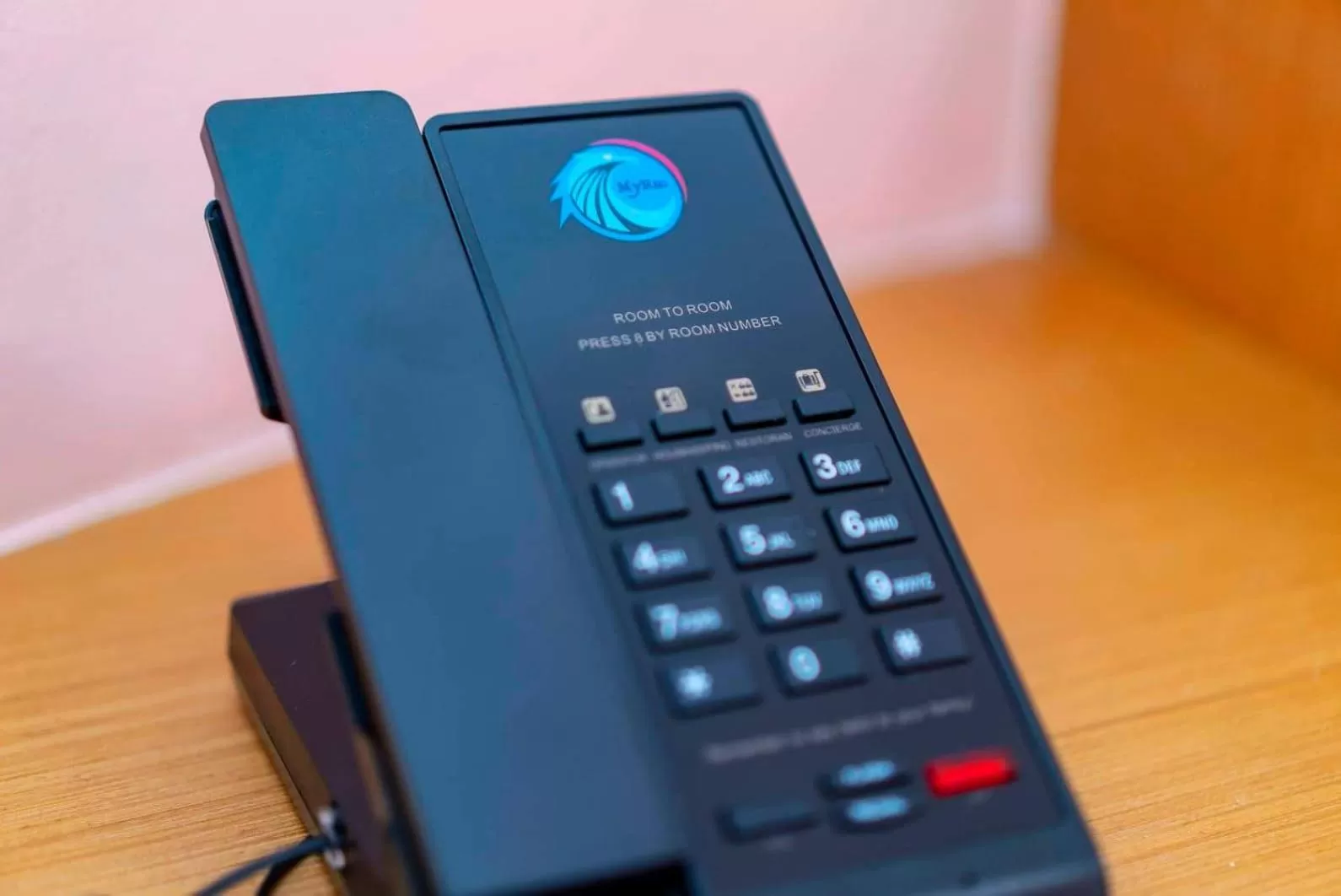 Decorative detail in MyRus Resort Langkawi