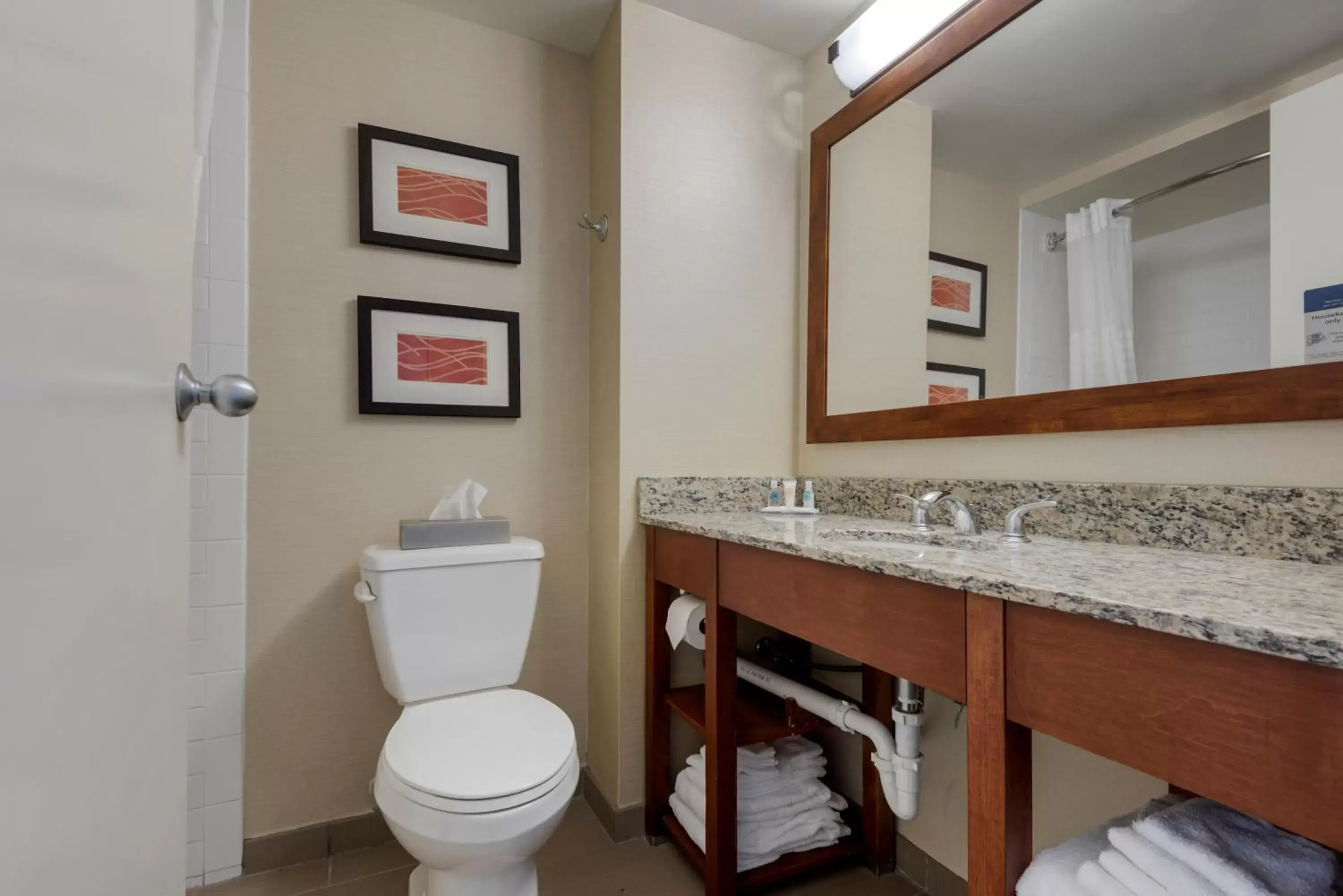 Bathroom in Comfort Inn The Pointe