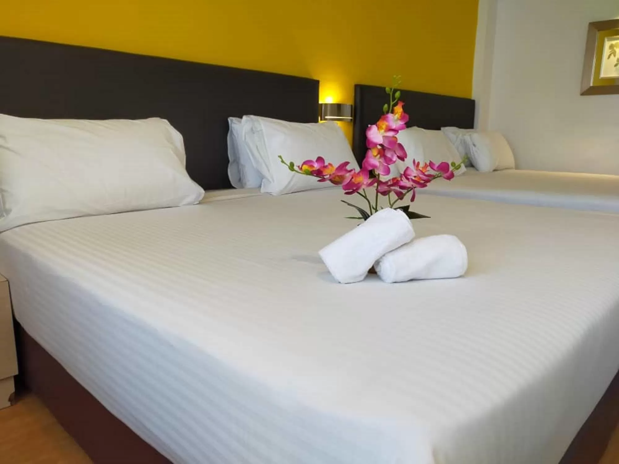 Bed in Hotel Sentral Georgetown @ City Centre