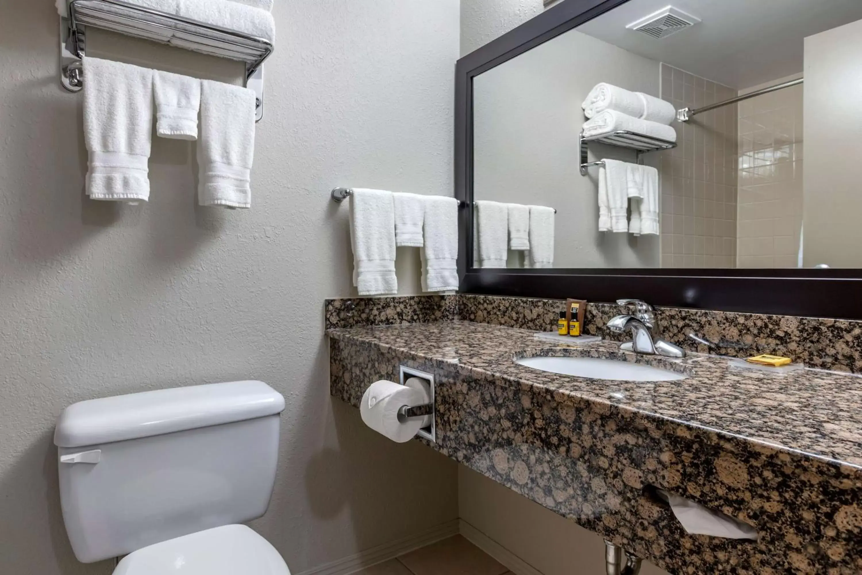 Shower, Bathroom in Best Western Plus Pembina Inn & Suites