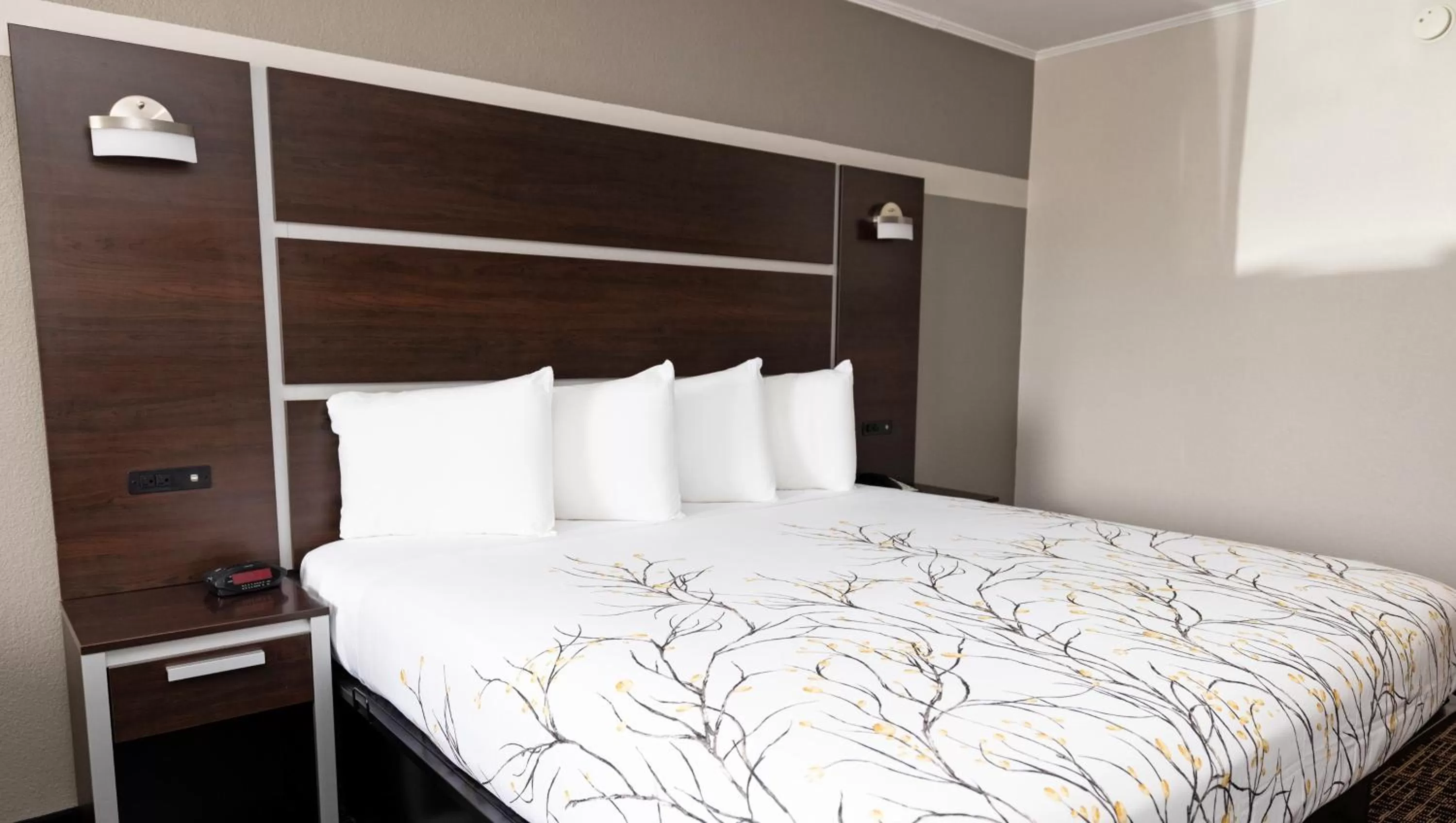 Bedroom, Bed in Magnuson Hotel Virginia Beach