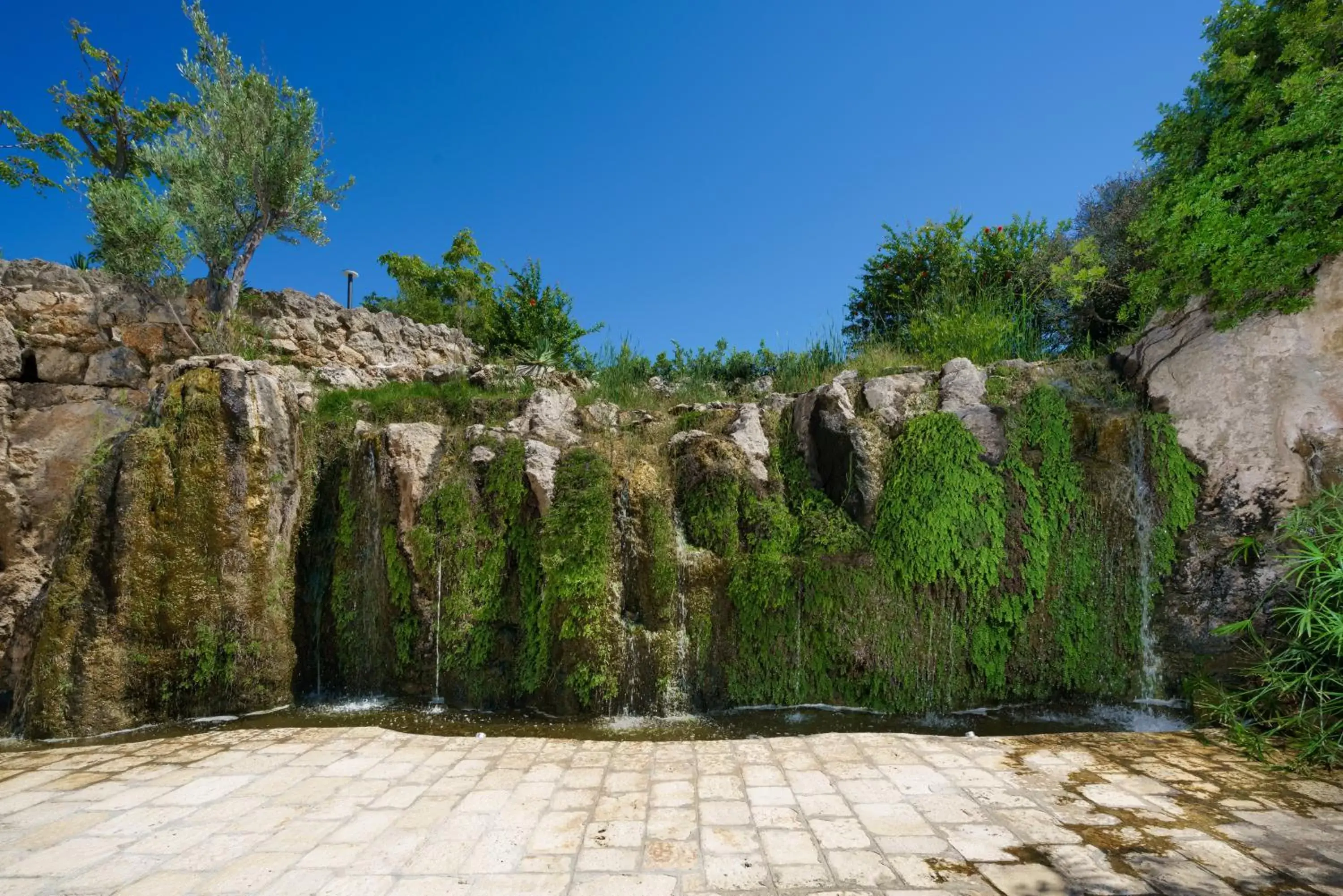 Garden in Grotta Palazzese Beach Hotel