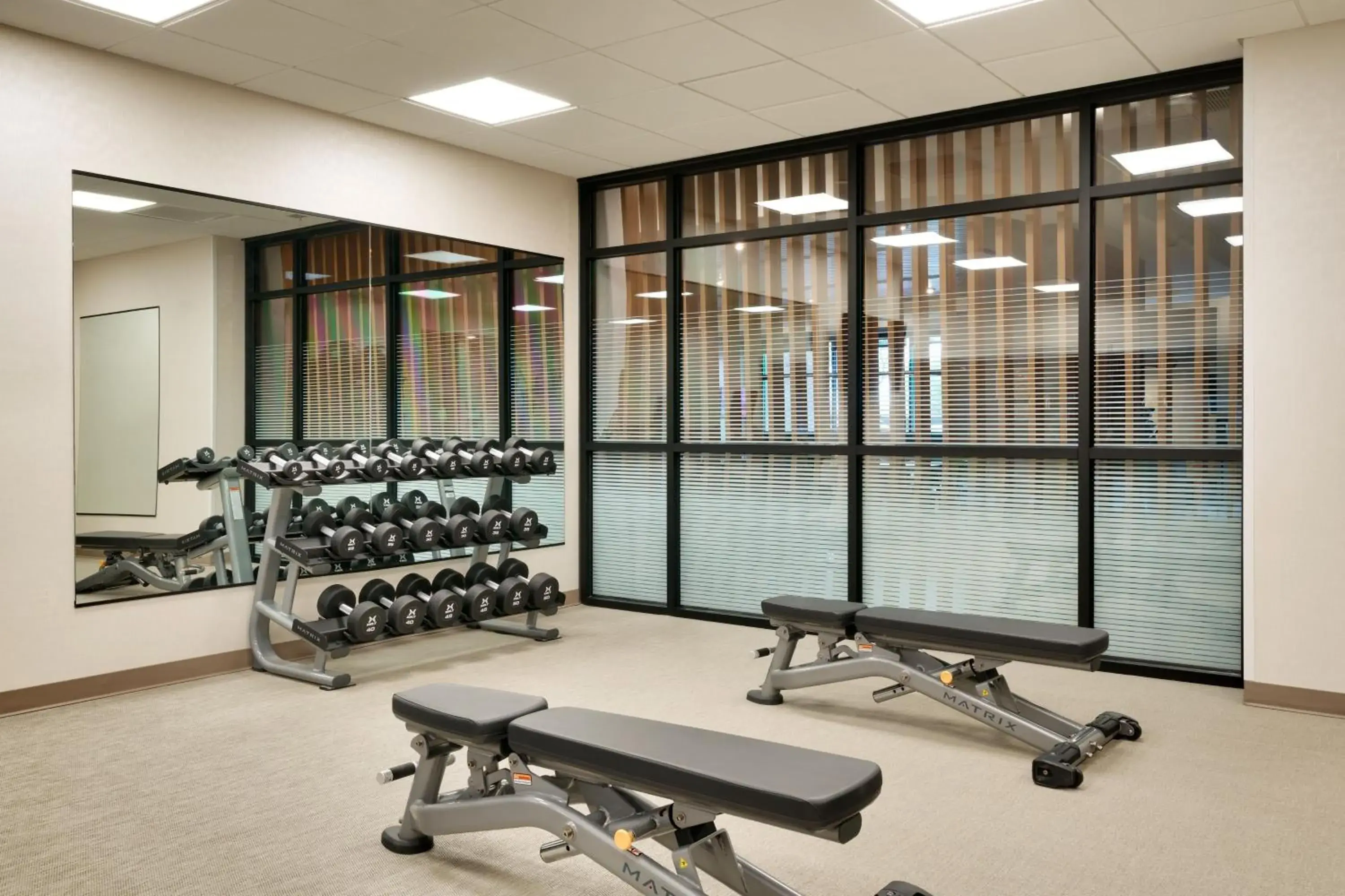 Fitness centre/facilities, Fitness Center/Facilities in SpringHill Suites by Marriott Phoenix Scottsdale