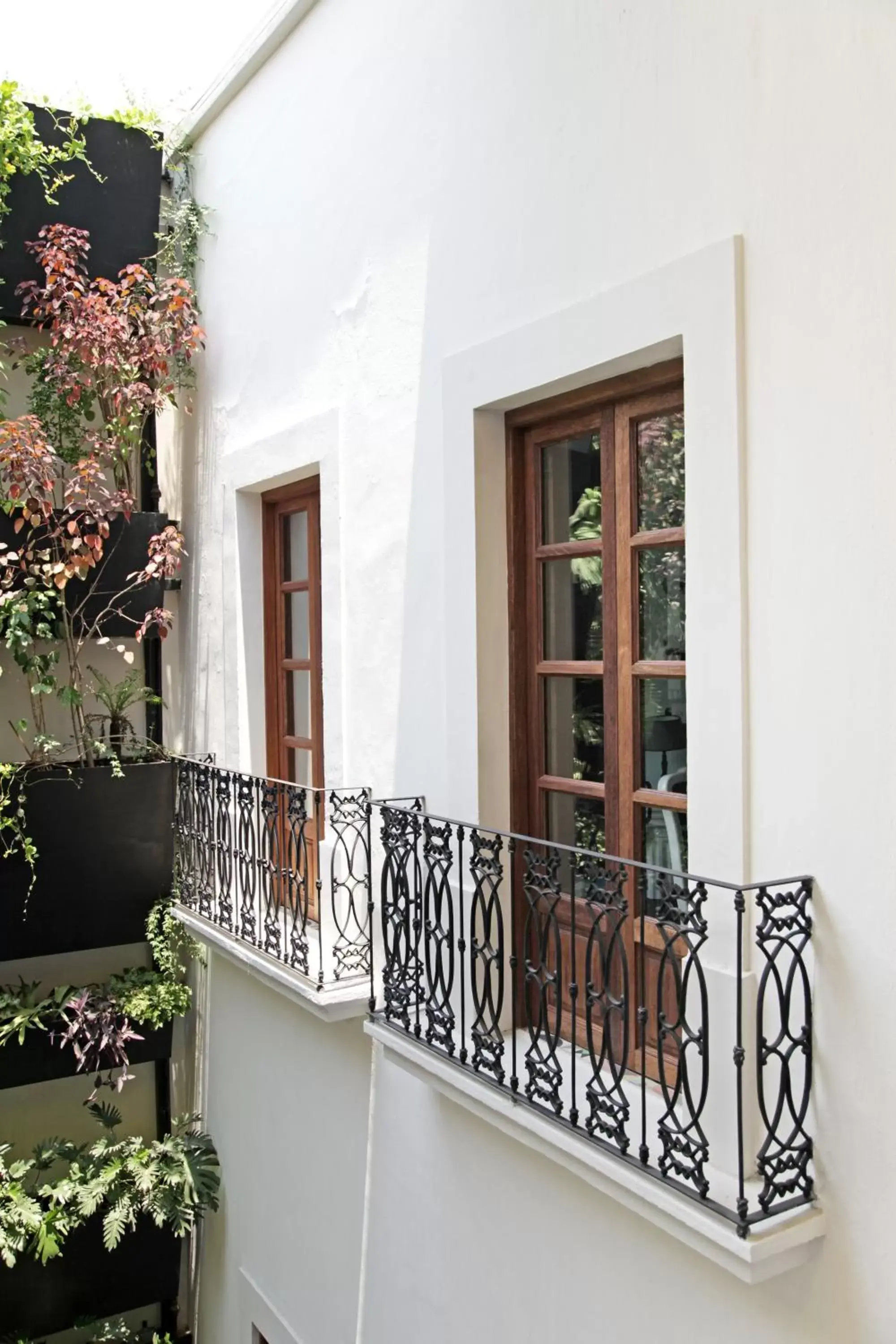 Suite in Del Carmen Concept Hotel Boutique by Chai Suite in Del Carmen Concept Hotel Boutique by Chai