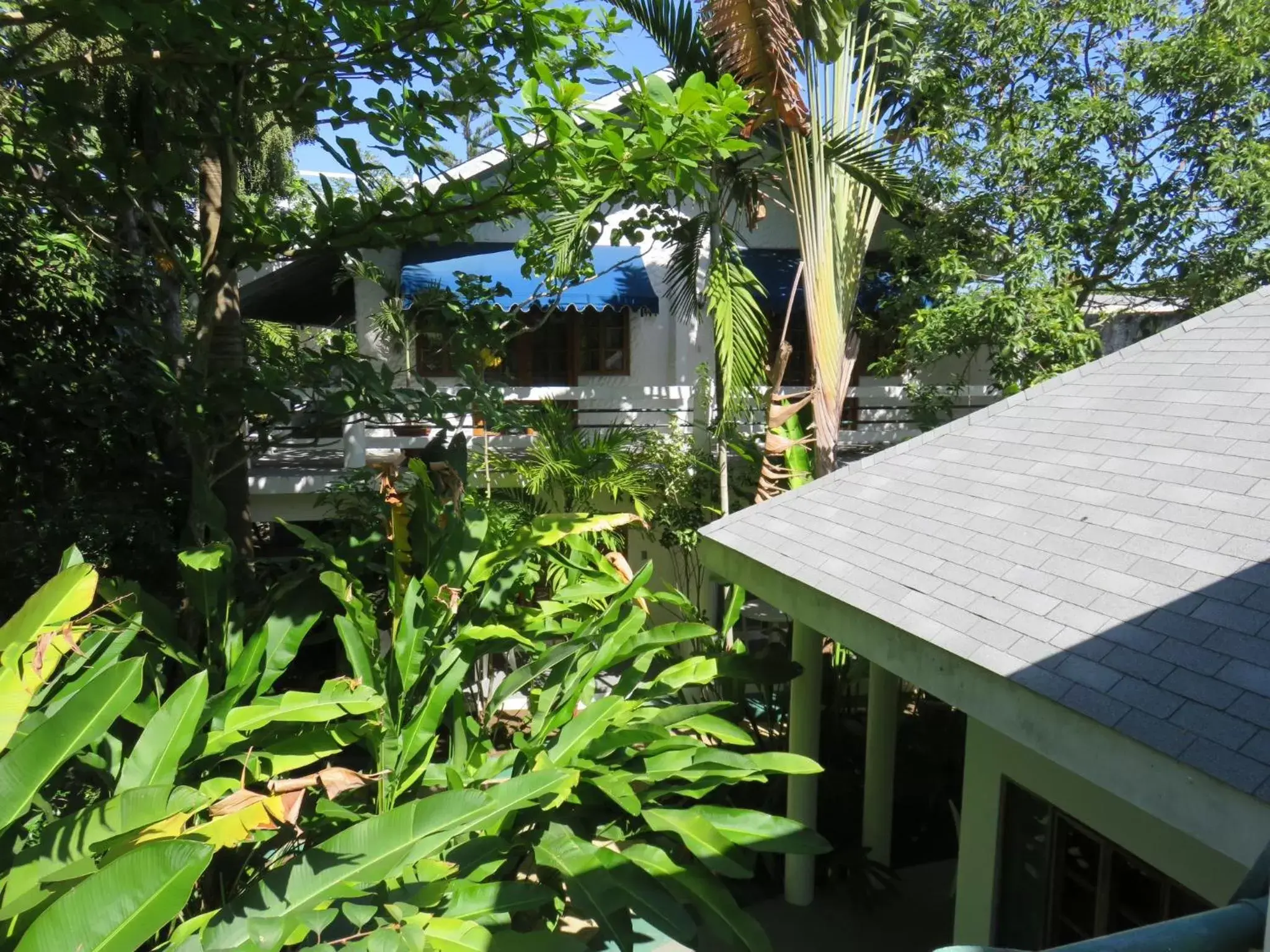 Garden in Beach House Condos, Negril