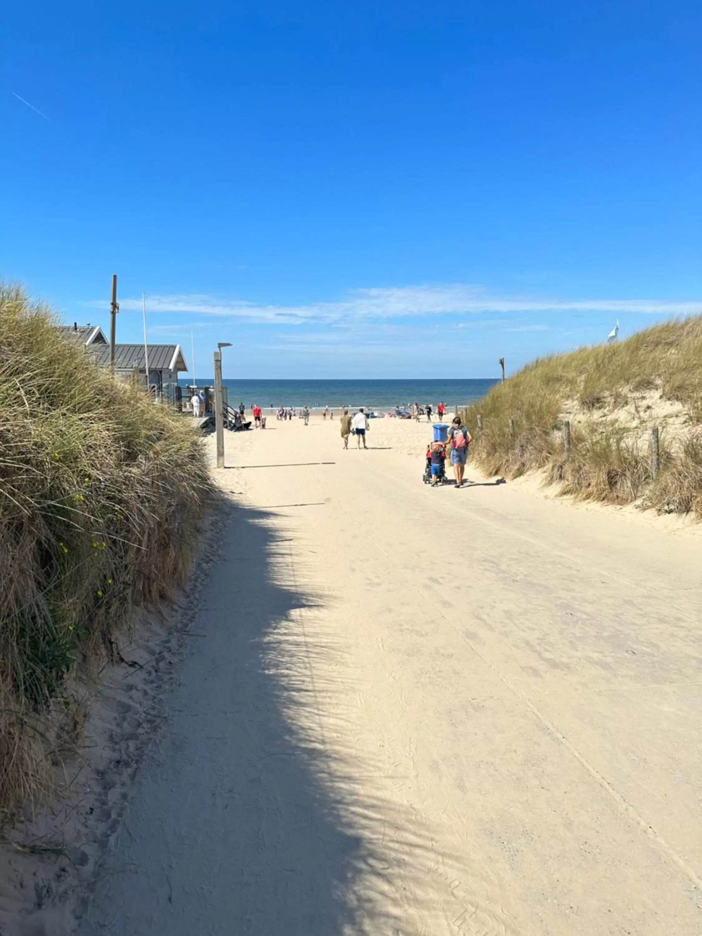 Beach in Neptunus Appartementen