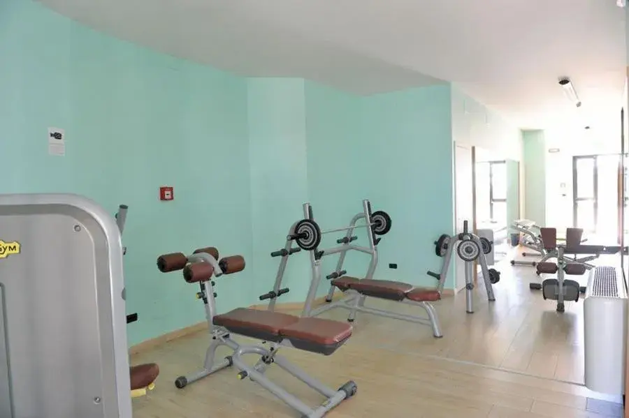 Fitness centre/facilities, Fitness Center/Facilities in Hotel Svevo