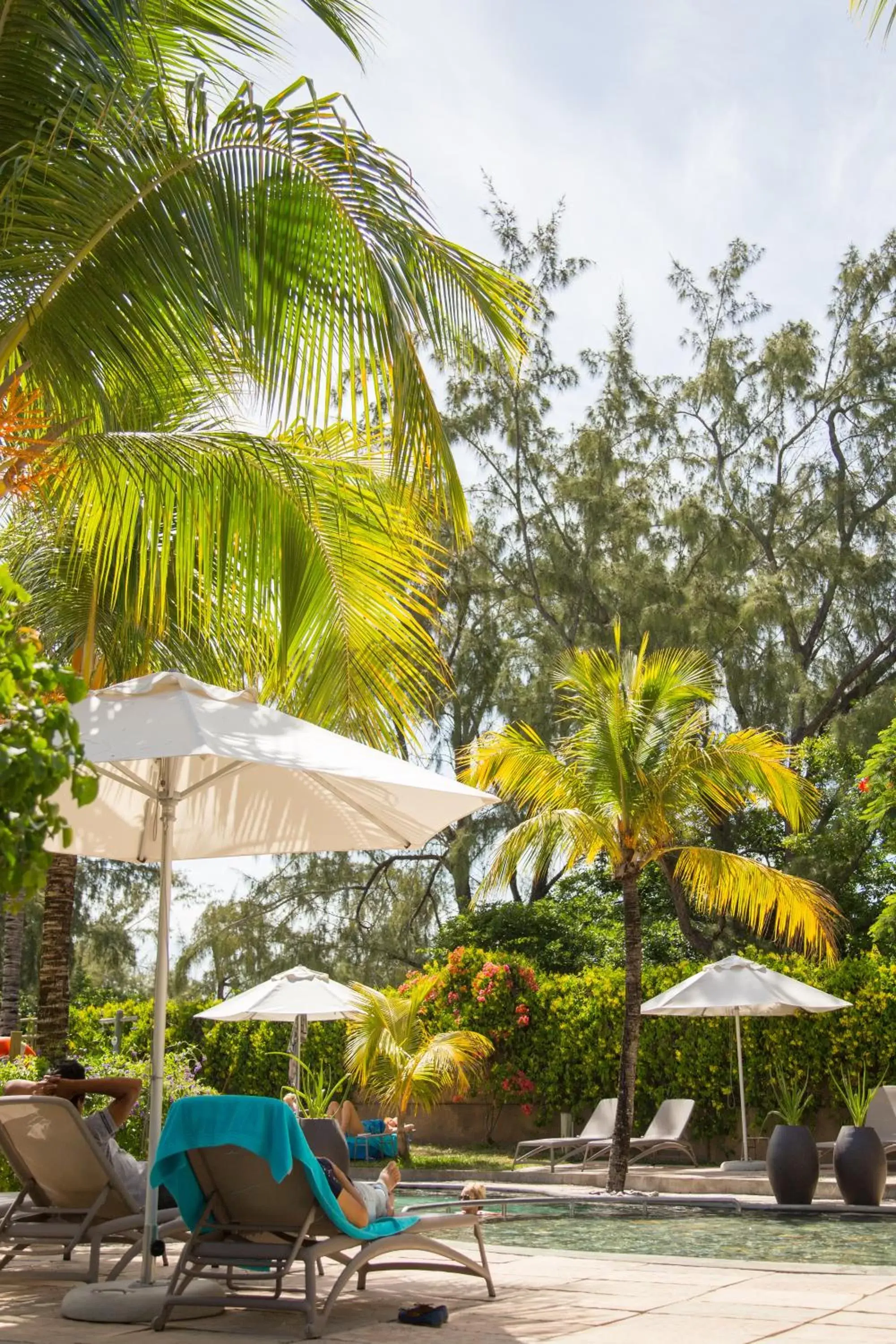 Swimming pool in Coin de Mire Attitude