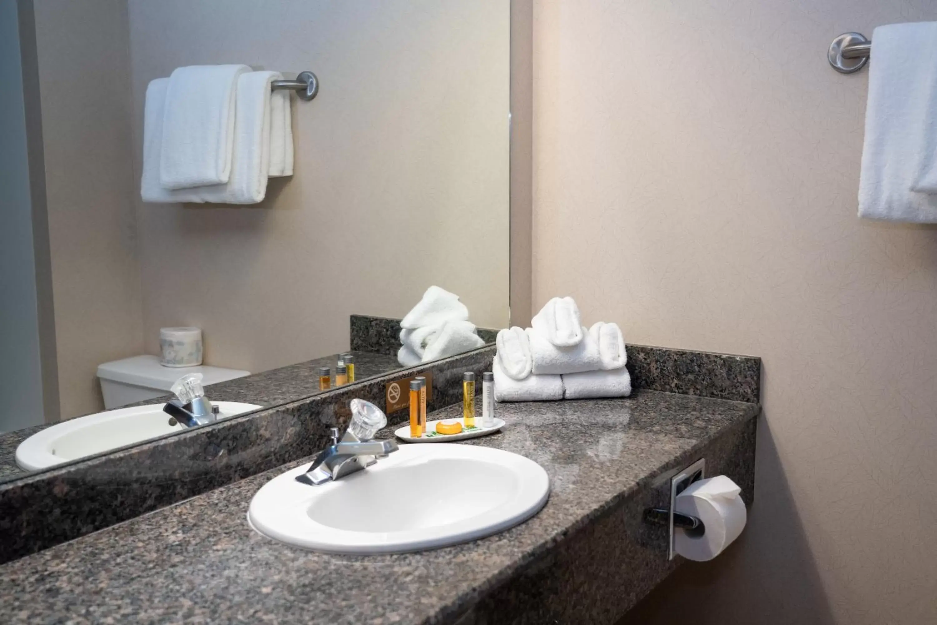 Bathroom in The Rundlestone Lodge