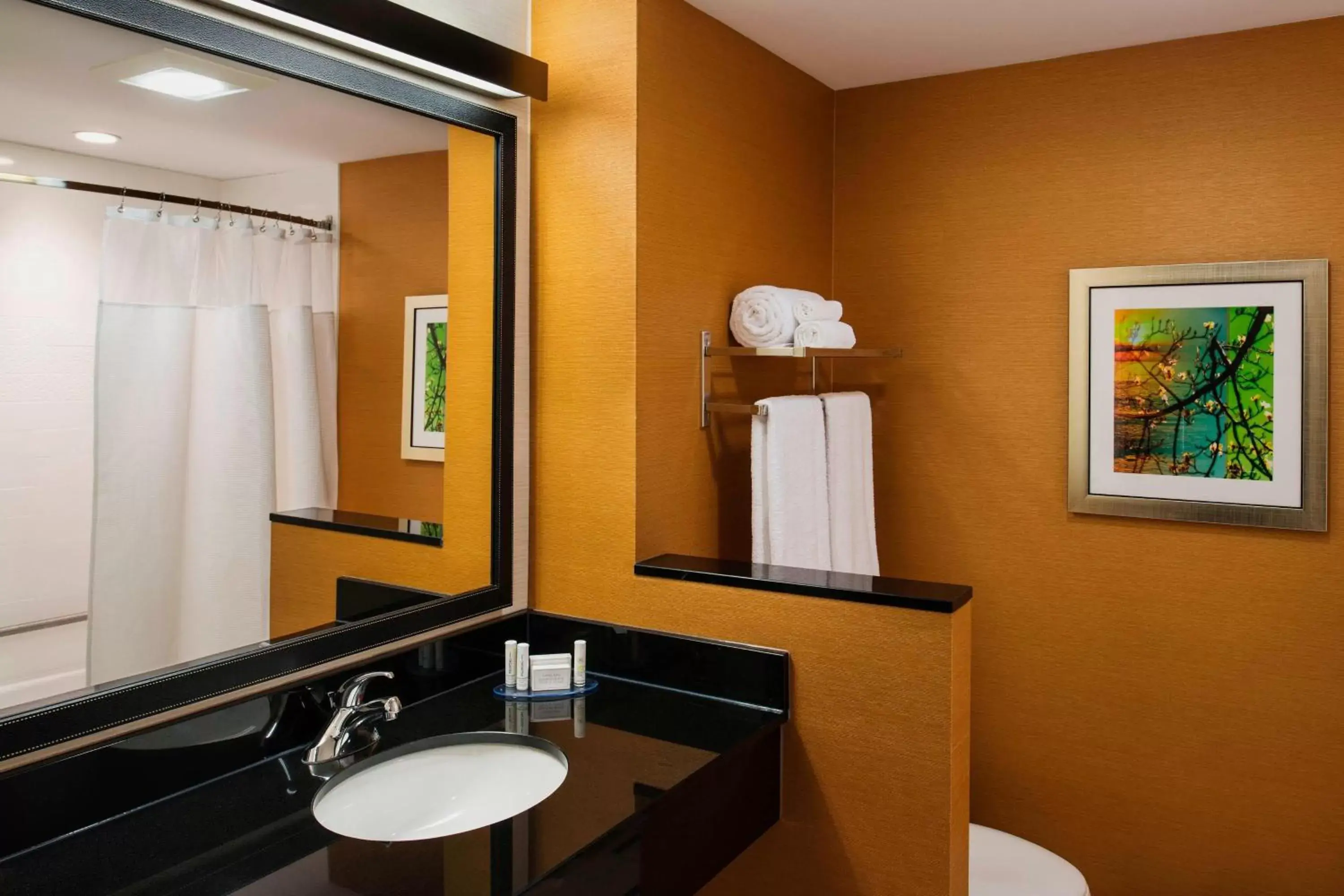 Bathroom in Fairfield Inn & Suites by Marriott Winnipeg