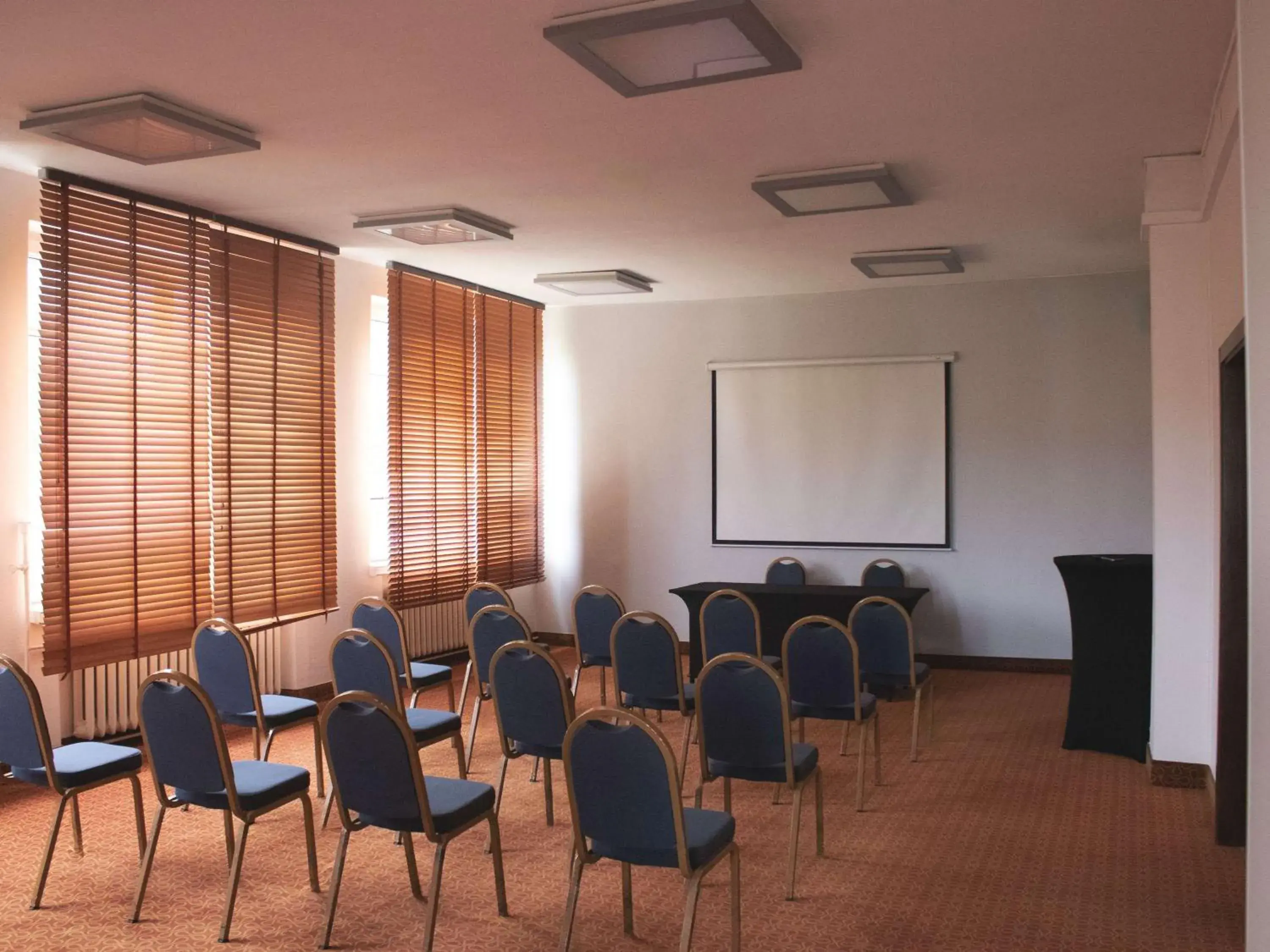 Meeting/conference room in Ibis Style Bielsko Biala