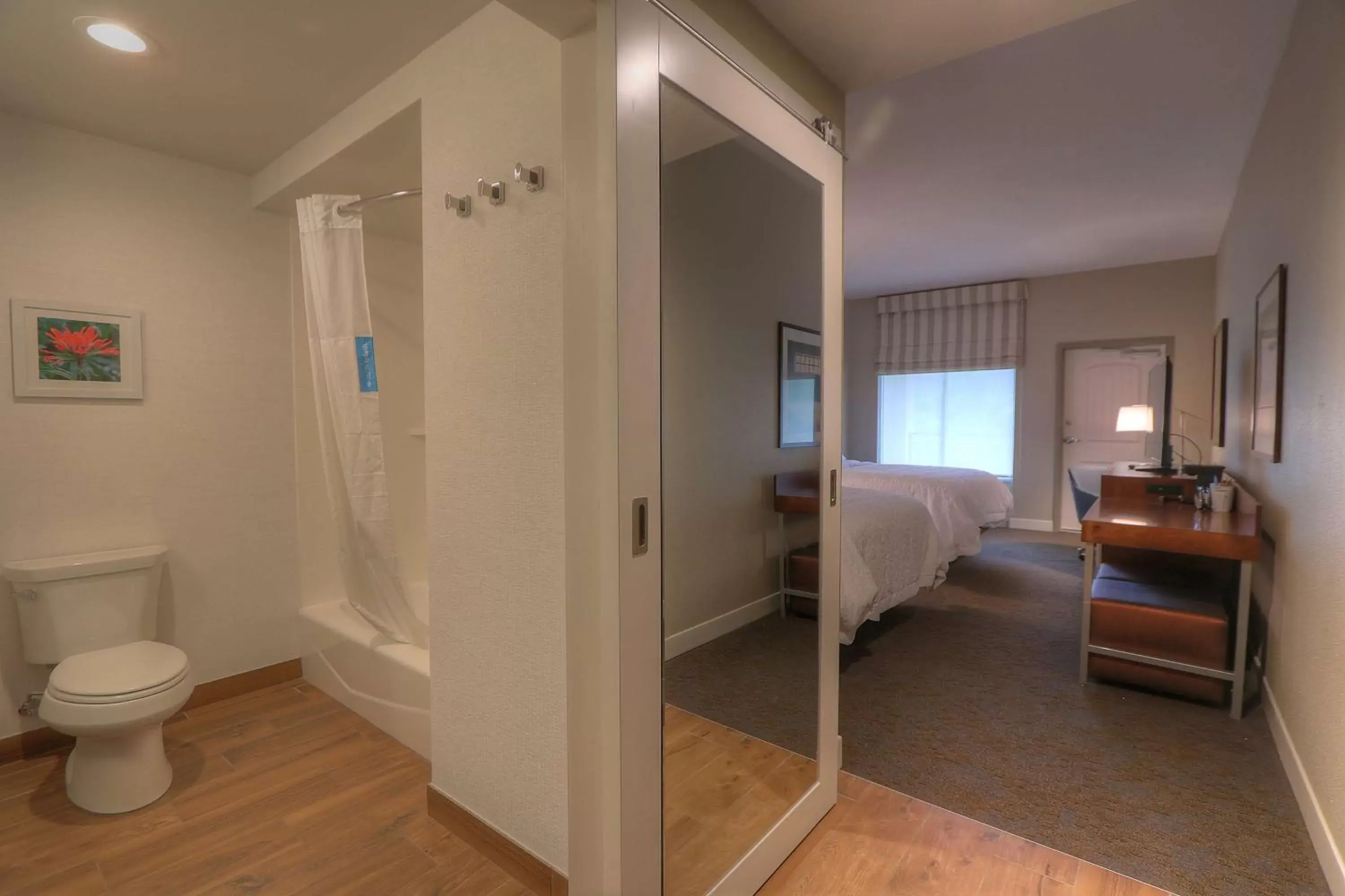 Bedroom, Bathroom in Hampton Inn Gatlinburg Historic Nature Trail, Tn