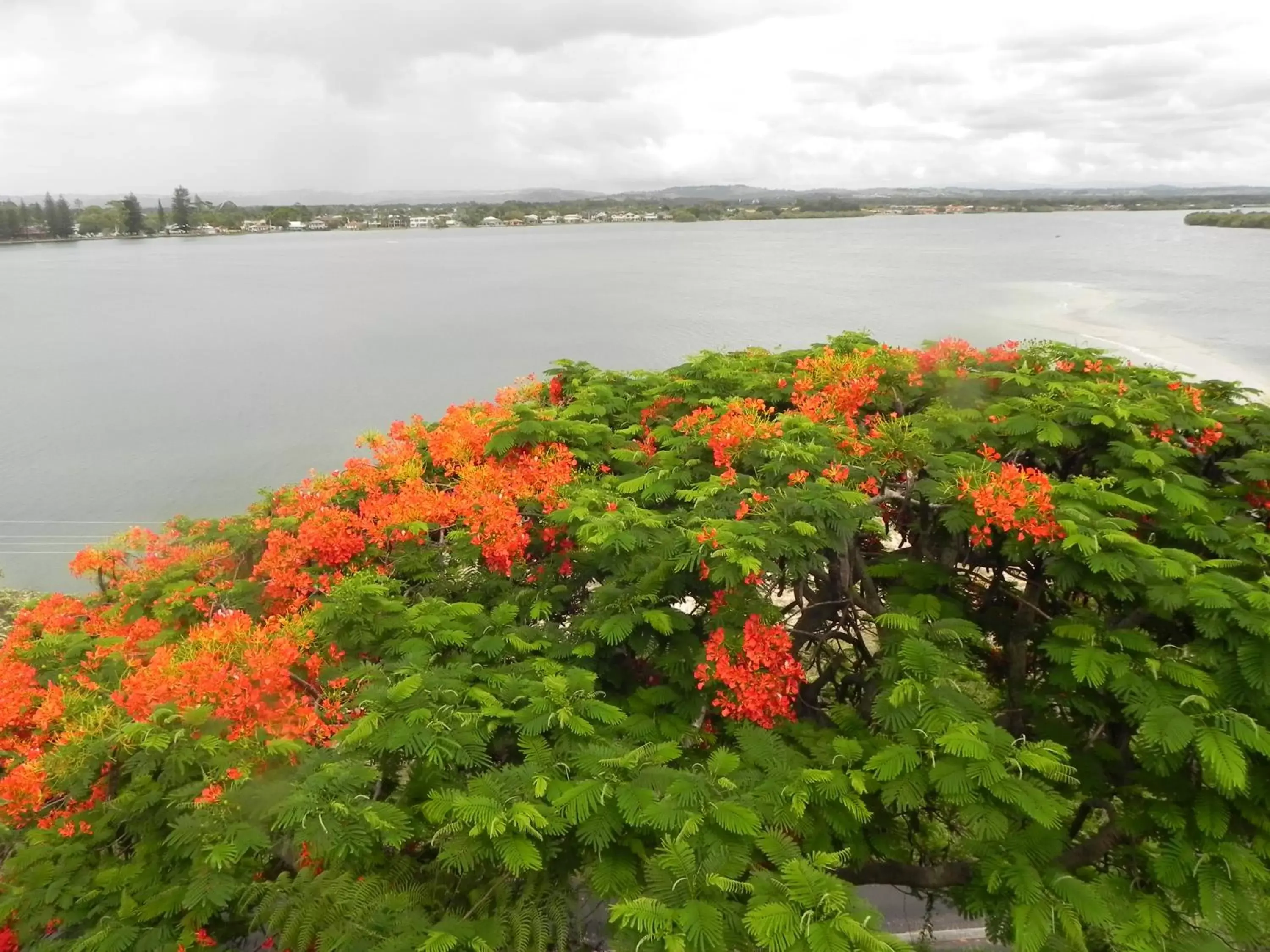 Natural landscape in Leisure-Lee Holiday Apartments