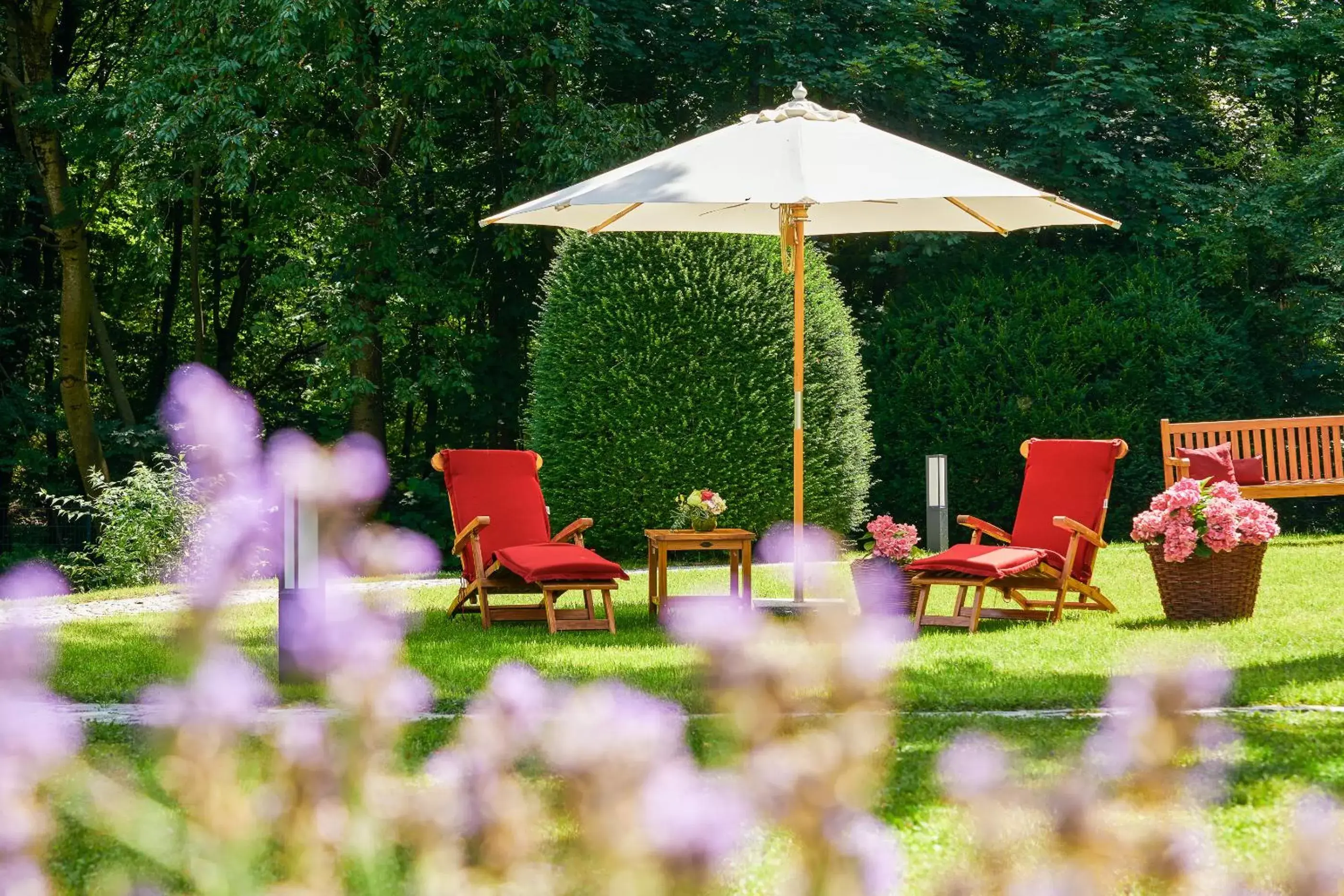 Patio, Garden in Parkhotel Rothof