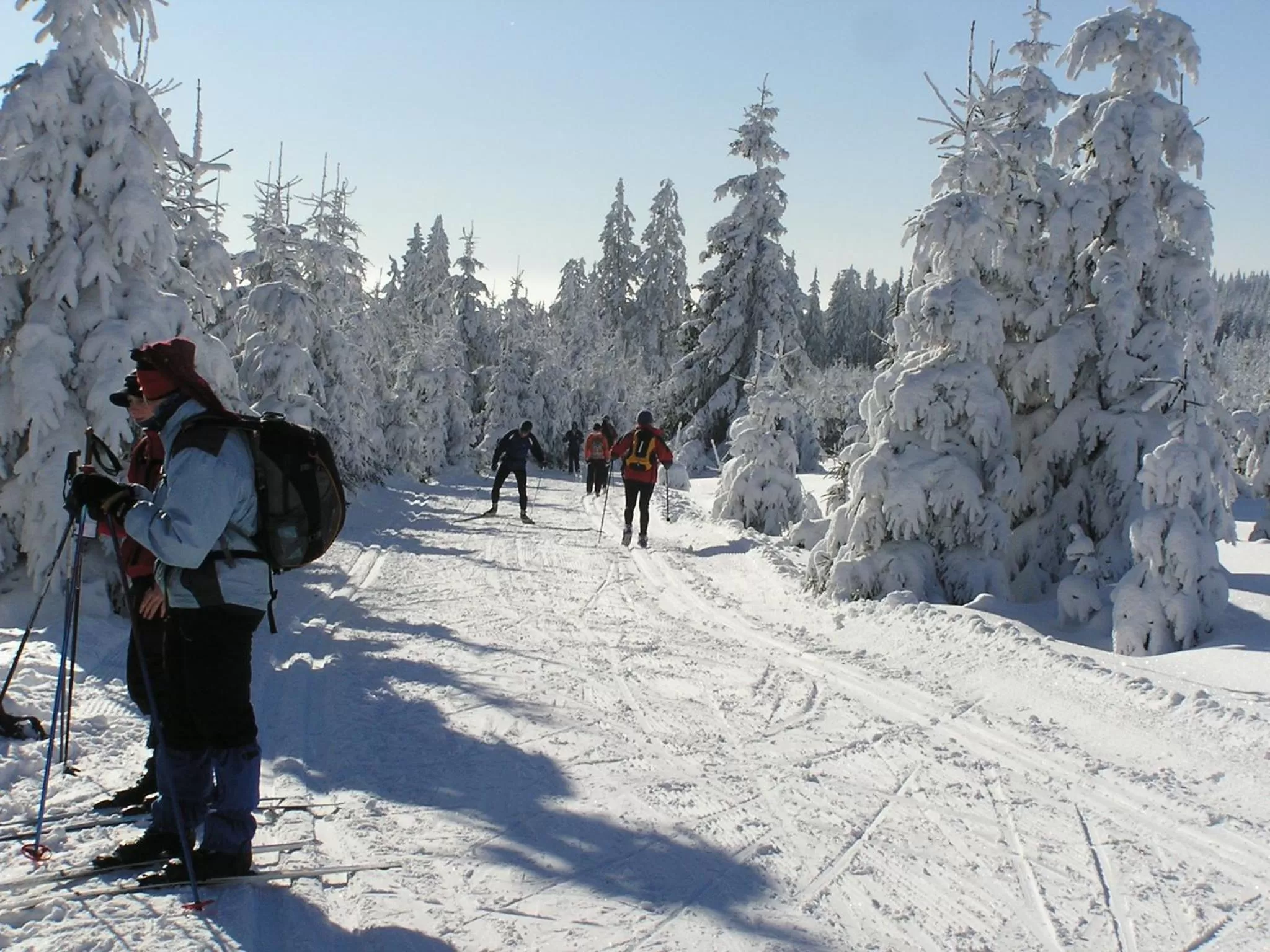 Skiing in Residence Romanza