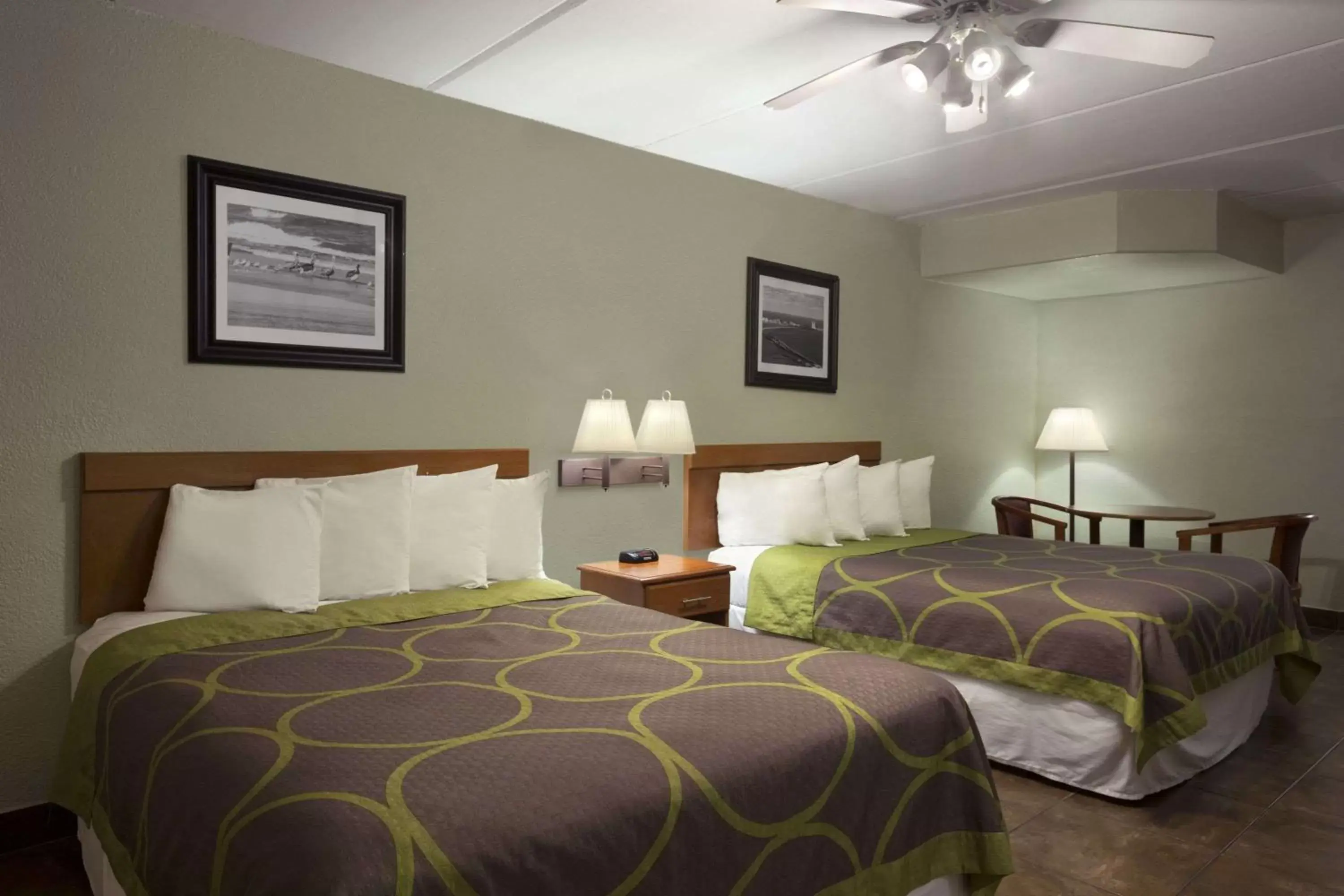 Photo of the whole room, Bed in Super 8 by Wyndham South Padre Island