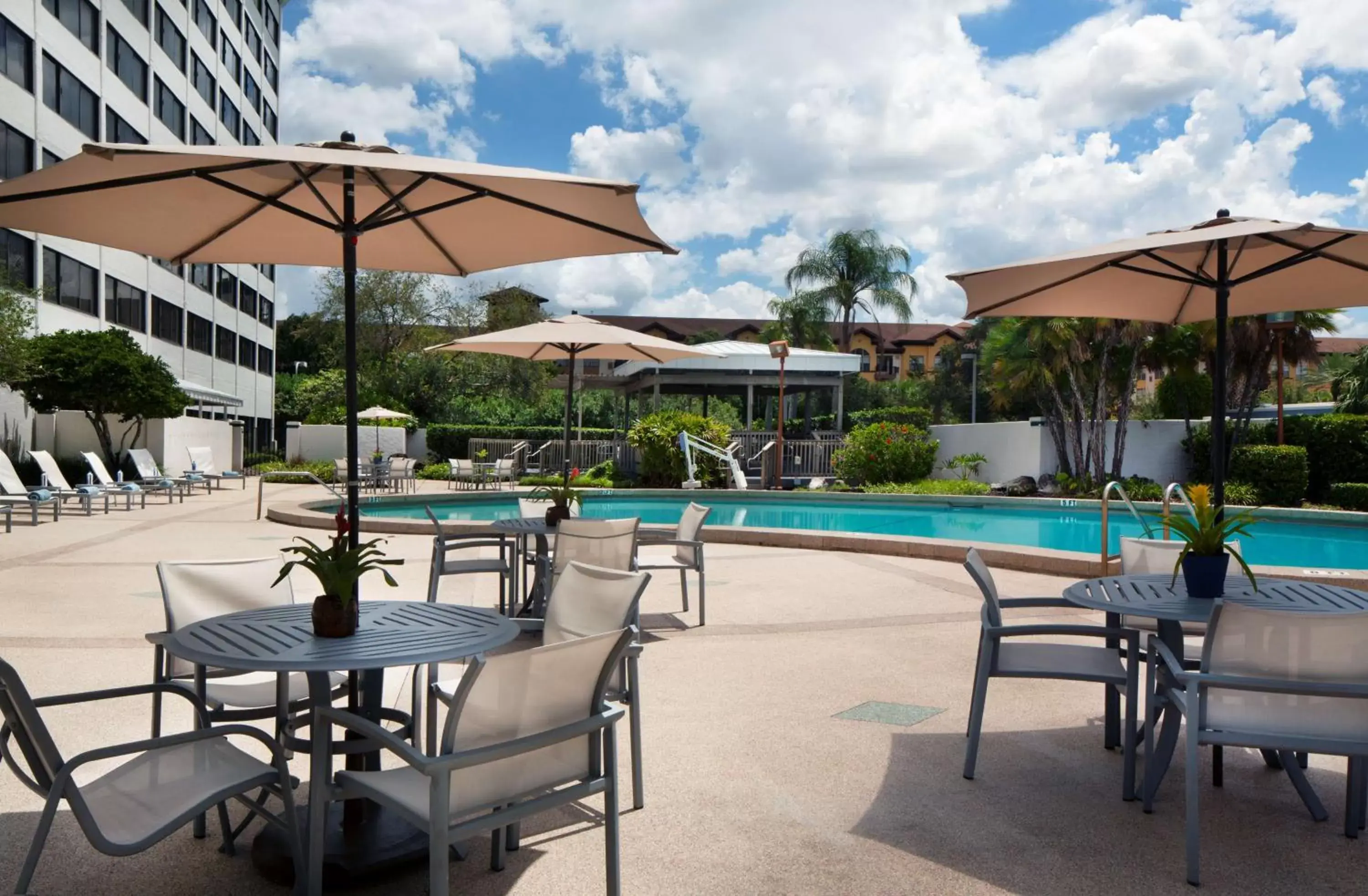 Pool view, Swimming Pool in Hilton Tampa Airport Westshore