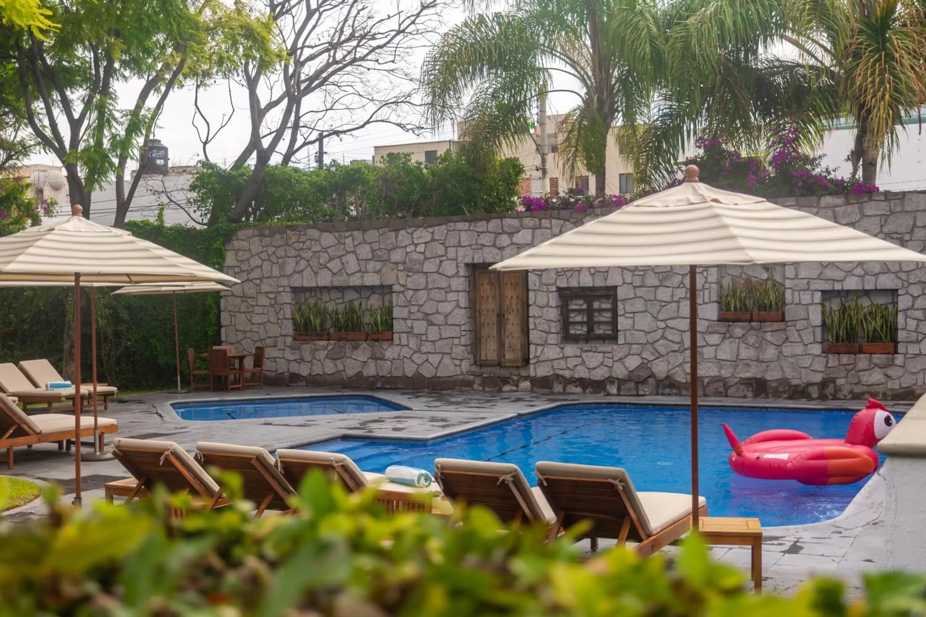 Pool view, Swimming Pool in Hotel Flamingo Inn