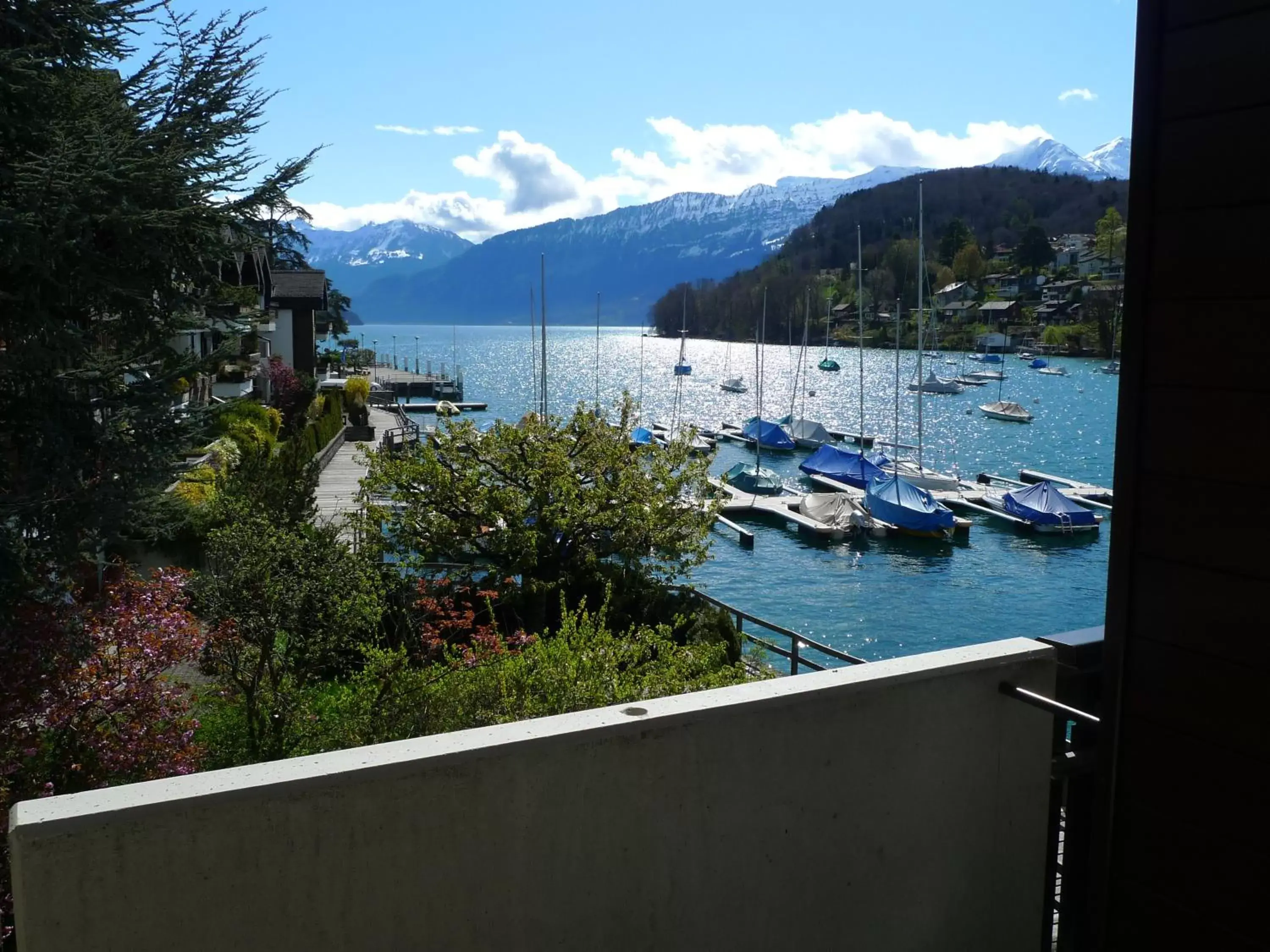 Lake view, Mountain View in Hotel-Restaurant Seegarten-Marina