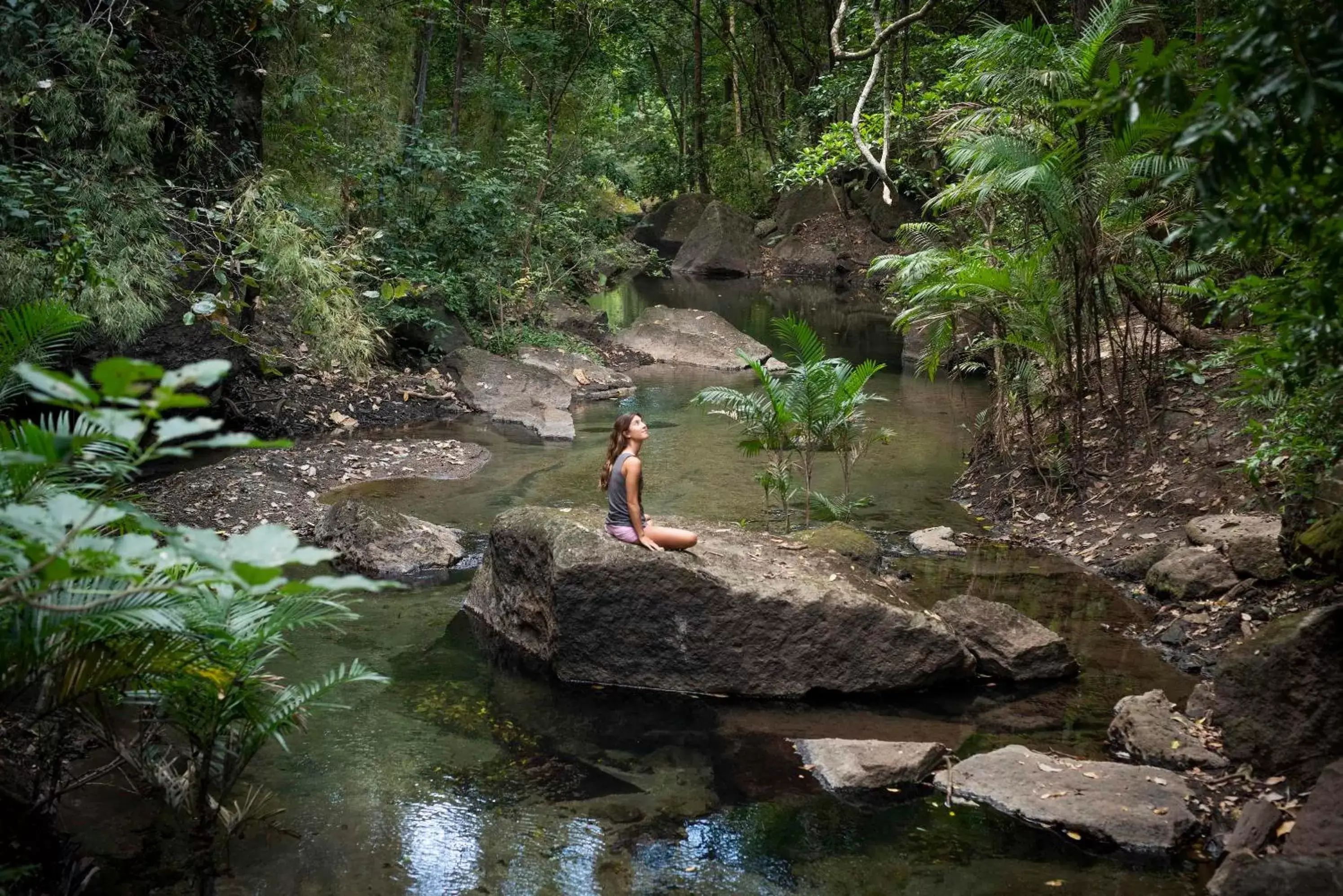 People, Other Animals in Rio Perdido Hotel & Thermal River