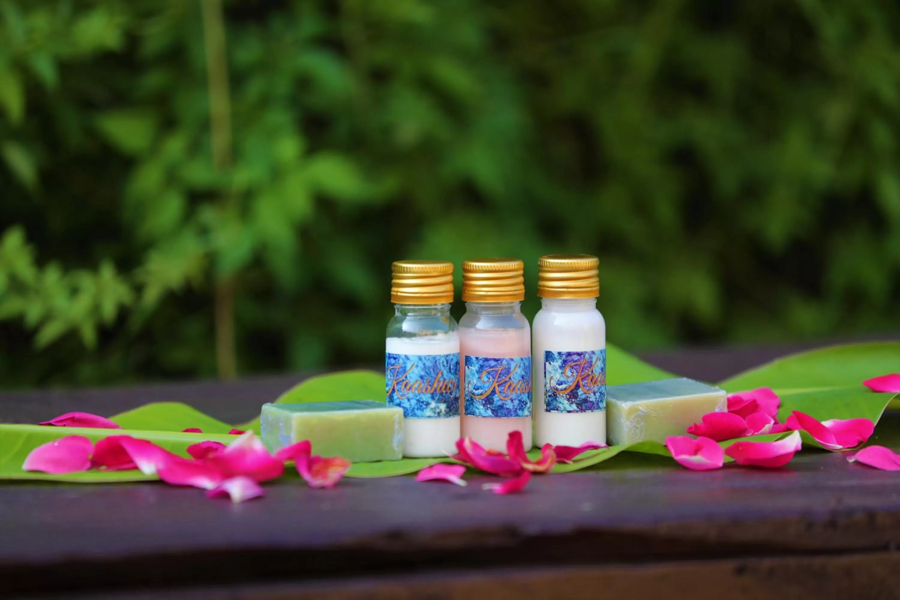 Camp Paridhi Ranthambhore, Homestay