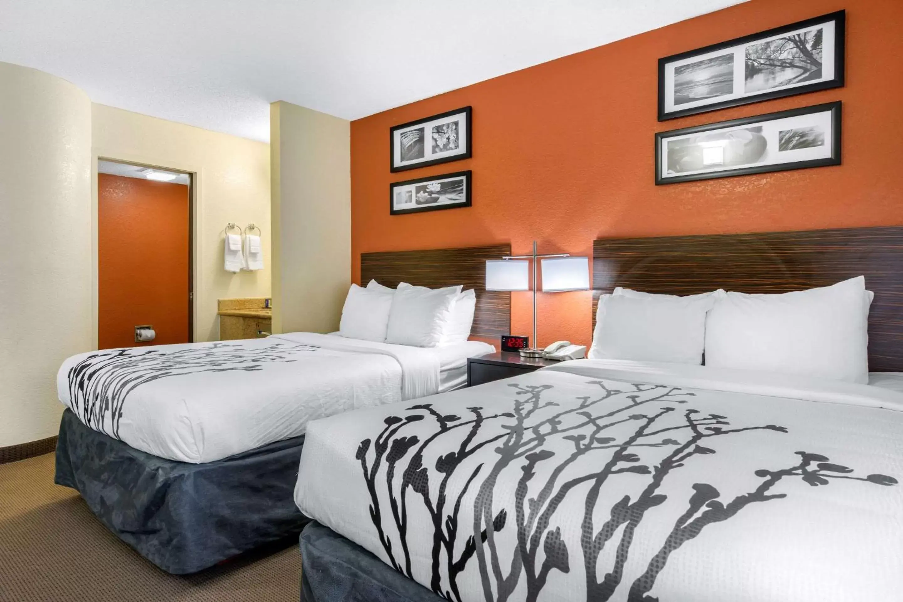 Photo of the whole room, Bed in Sleep Inn Sarasota North