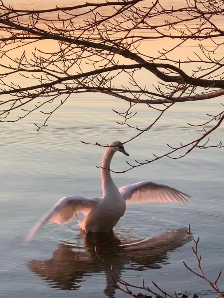 Animals in Bed and Breakfast Bavaria München