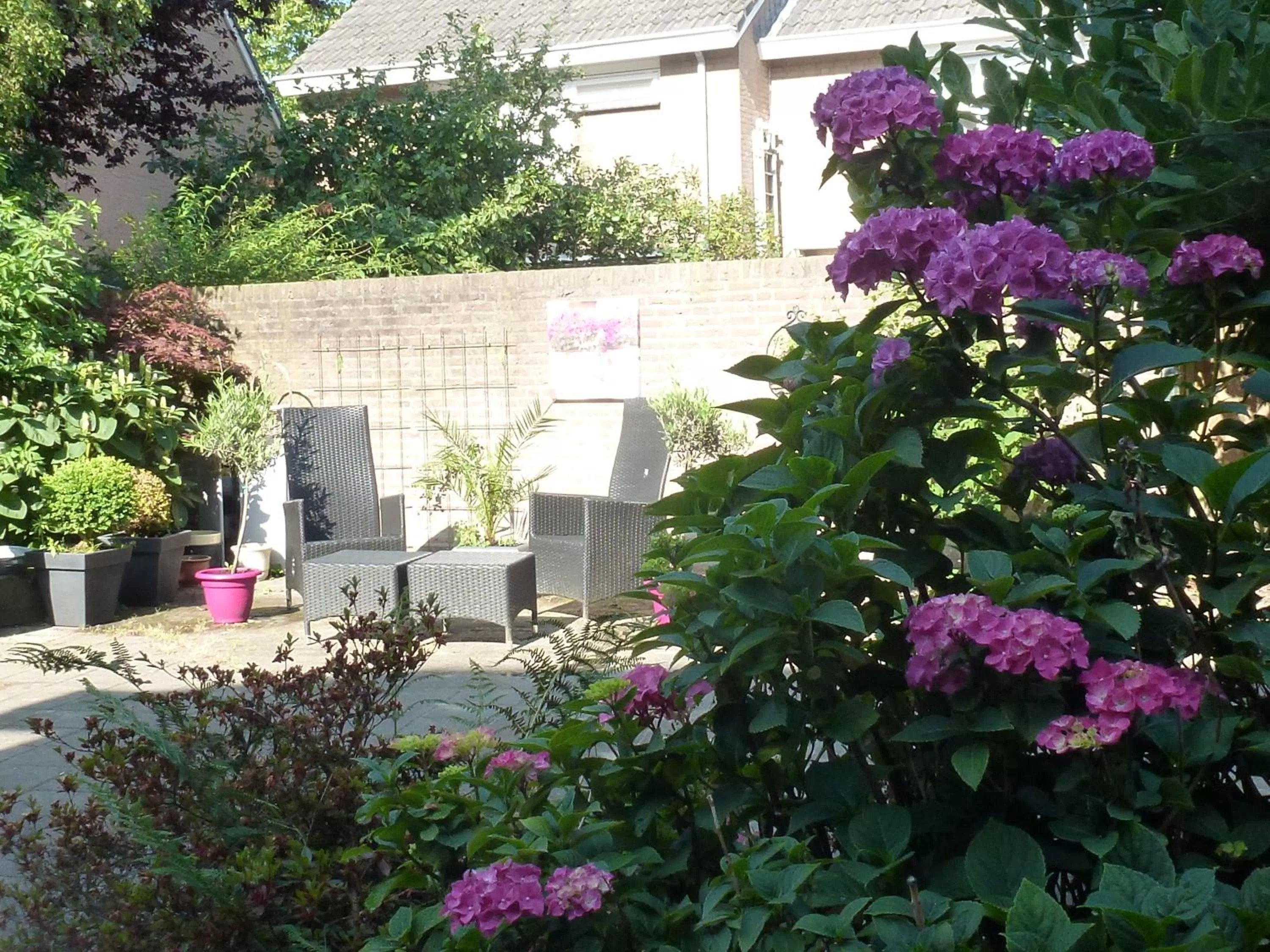 Balcony/Terrace in B&B Acacia