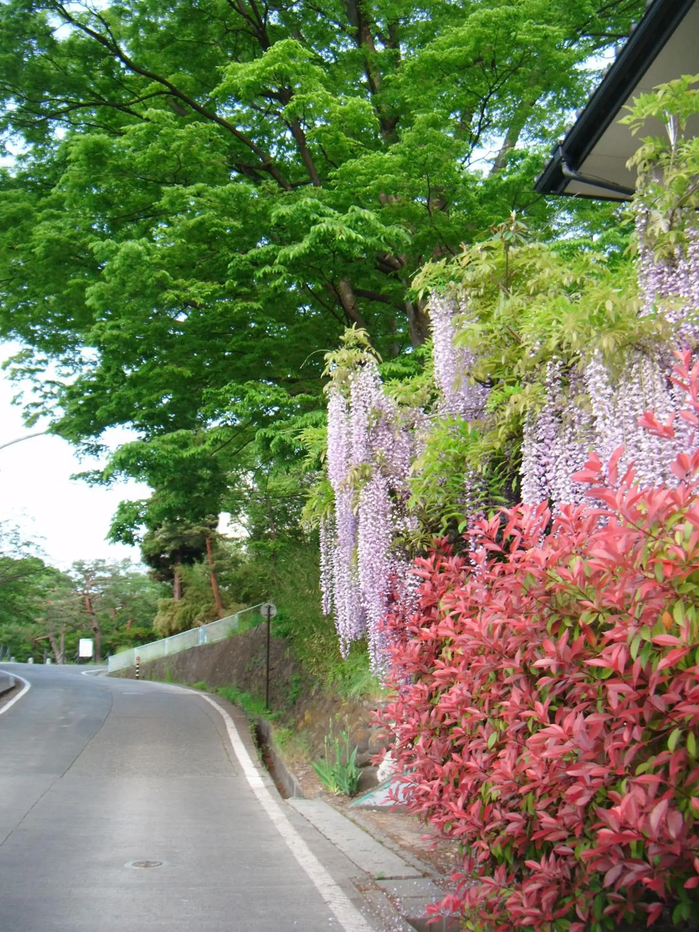 Off site in Hotel Jal City Nagano