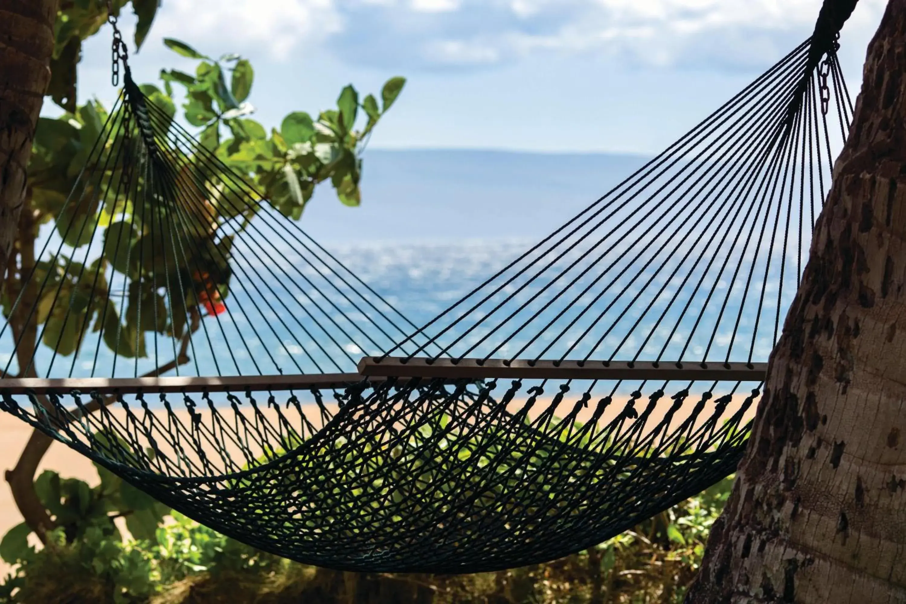 Other in Marriott's Maui Ocean Club  - Lahaina & Napili Towers