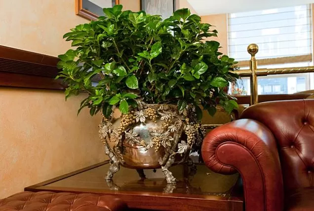 Other in Hotel Bristol