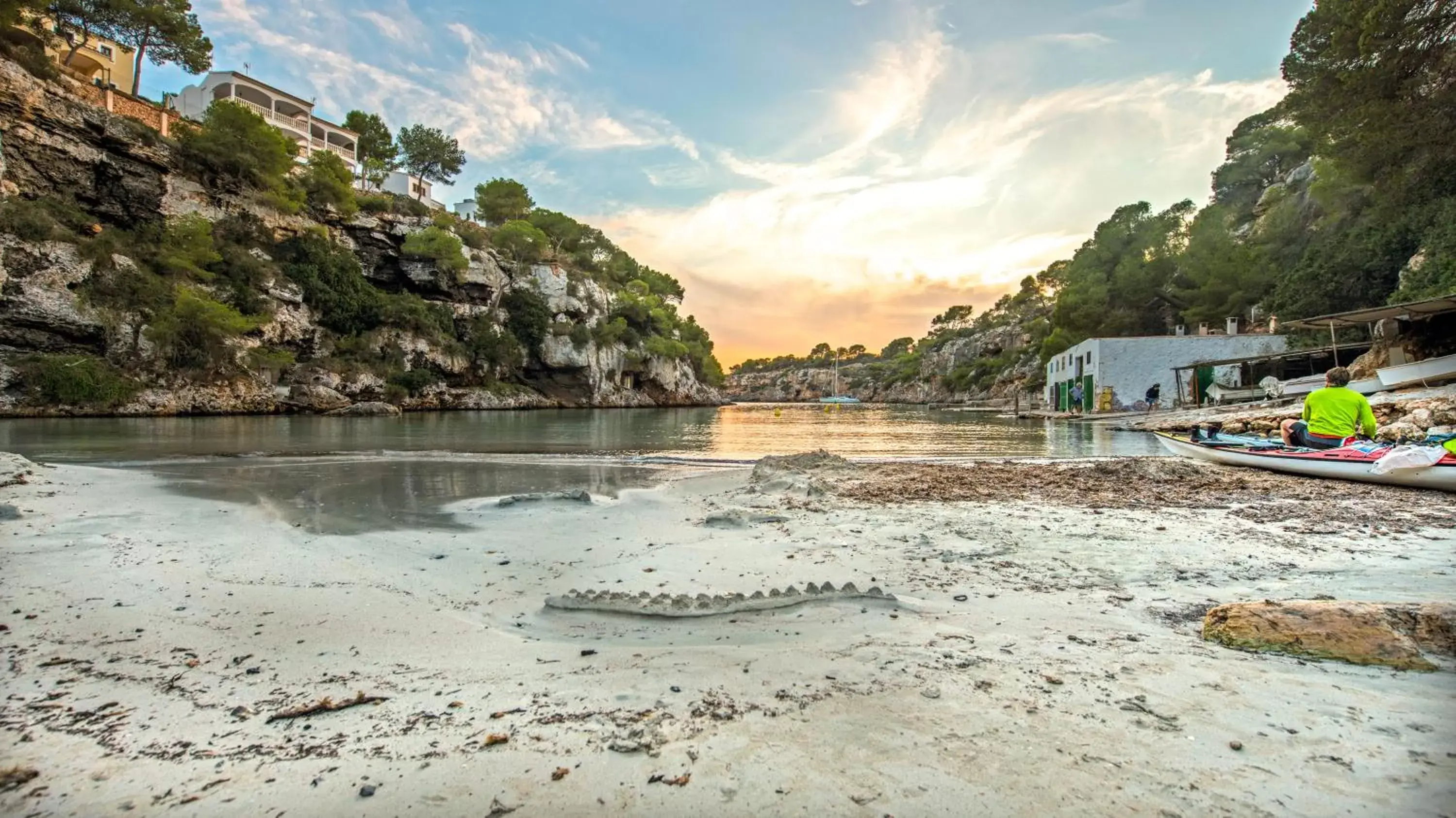 Natural landscape, Beach in Aparthotel Ona Cala Pi Club