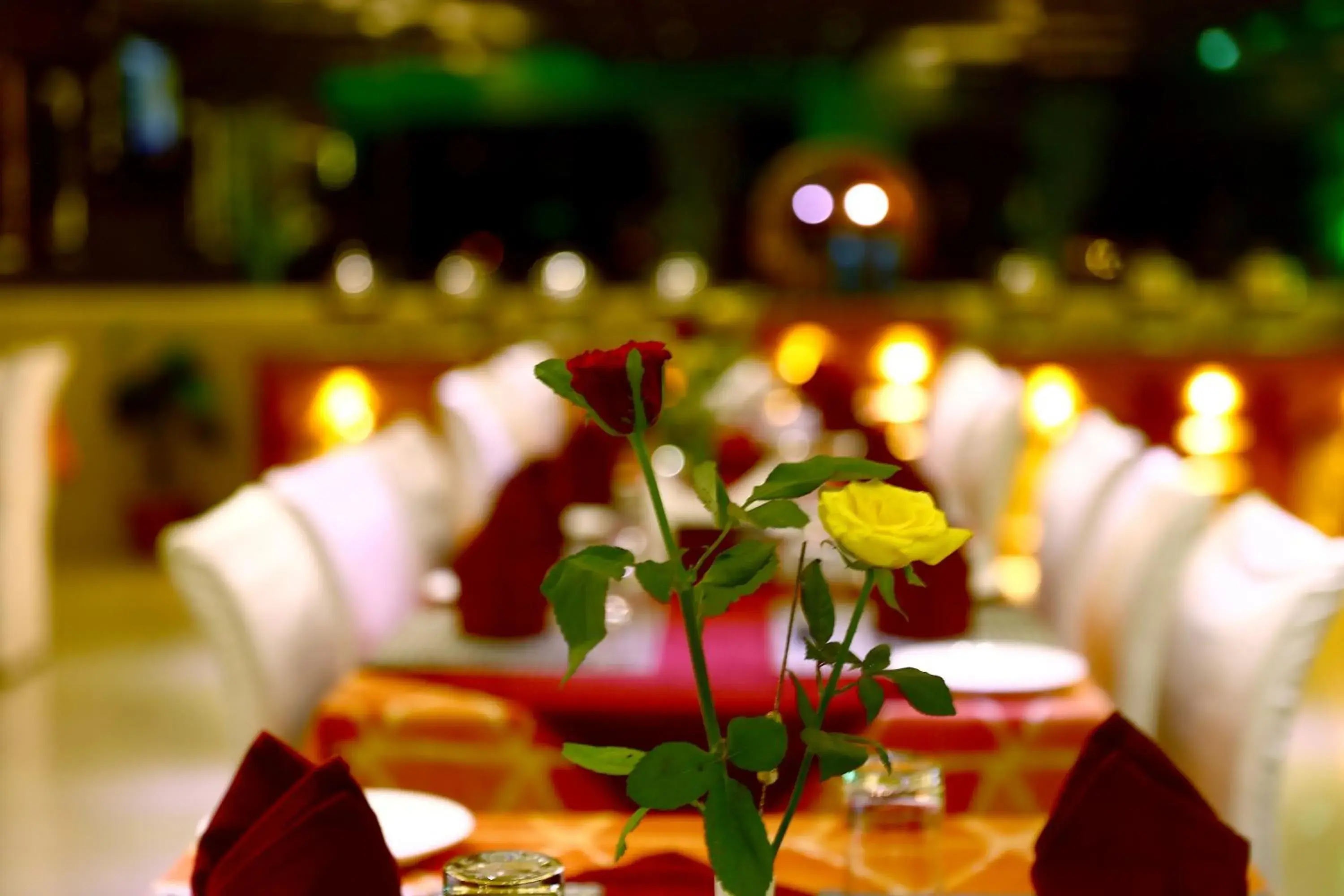 Restaurant/places to eat in Taj Inn Hotel