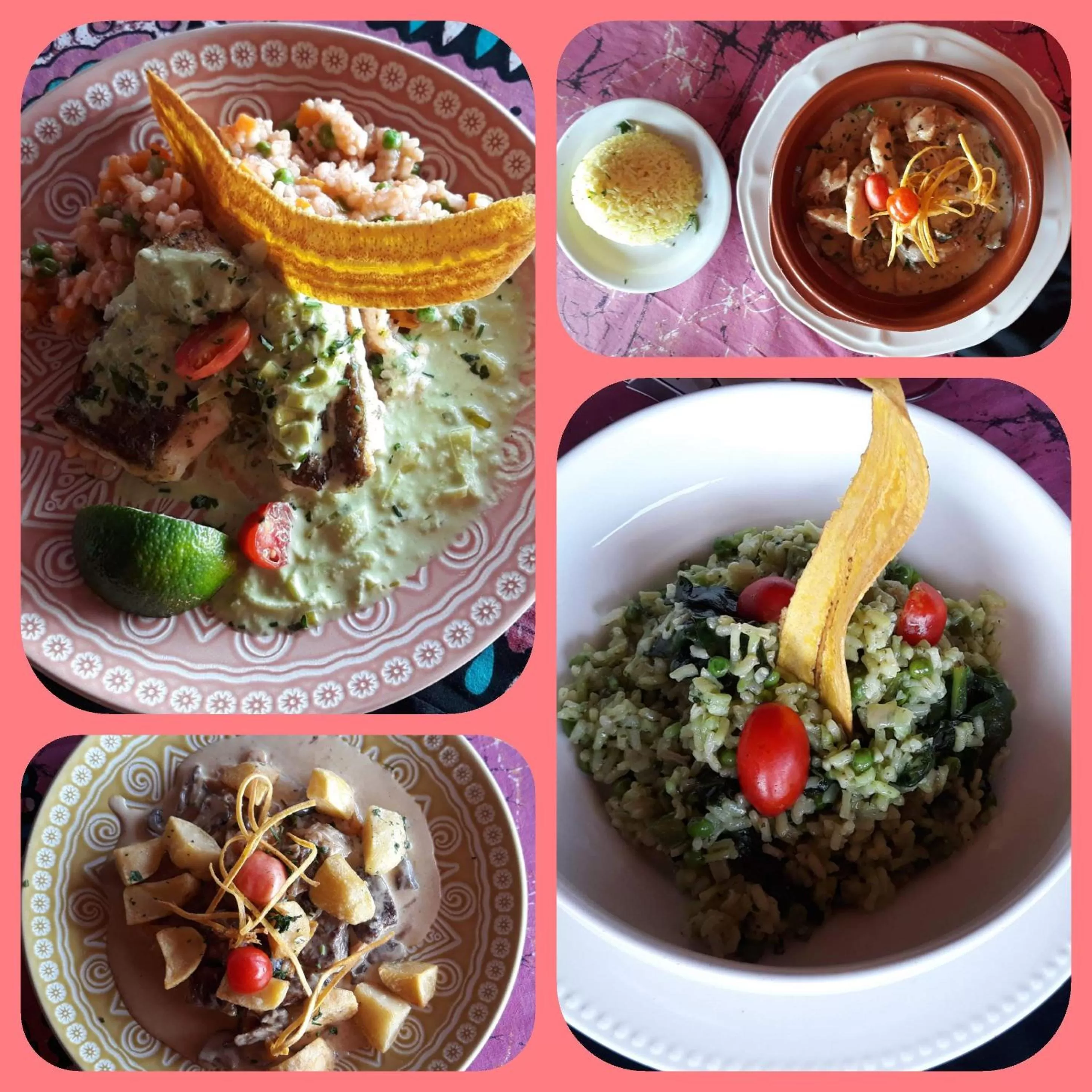 Food and drinks in CASE de ROBINSON